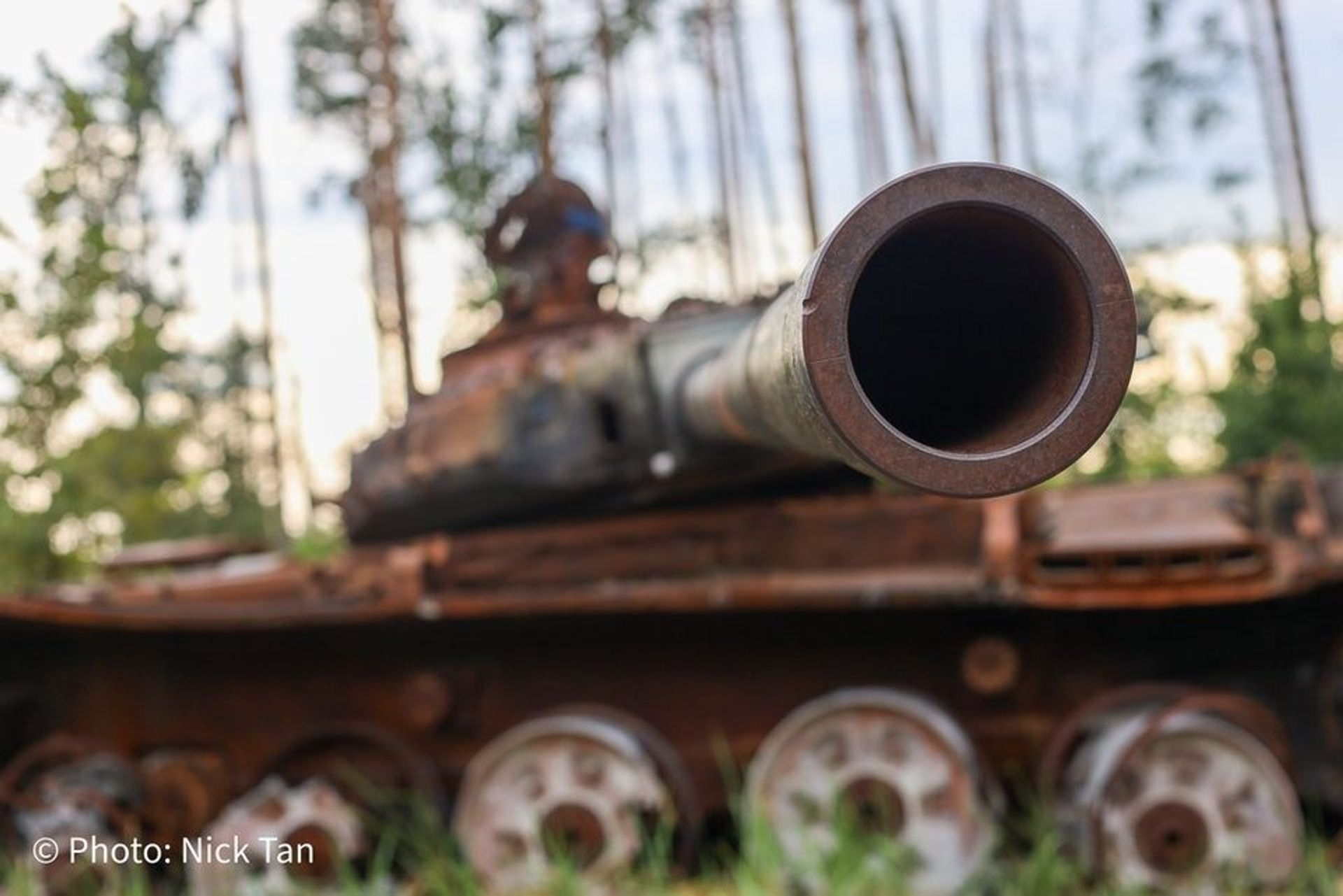 WhatsApp_Image_2025-01-16_at_15.15.58-1737043100