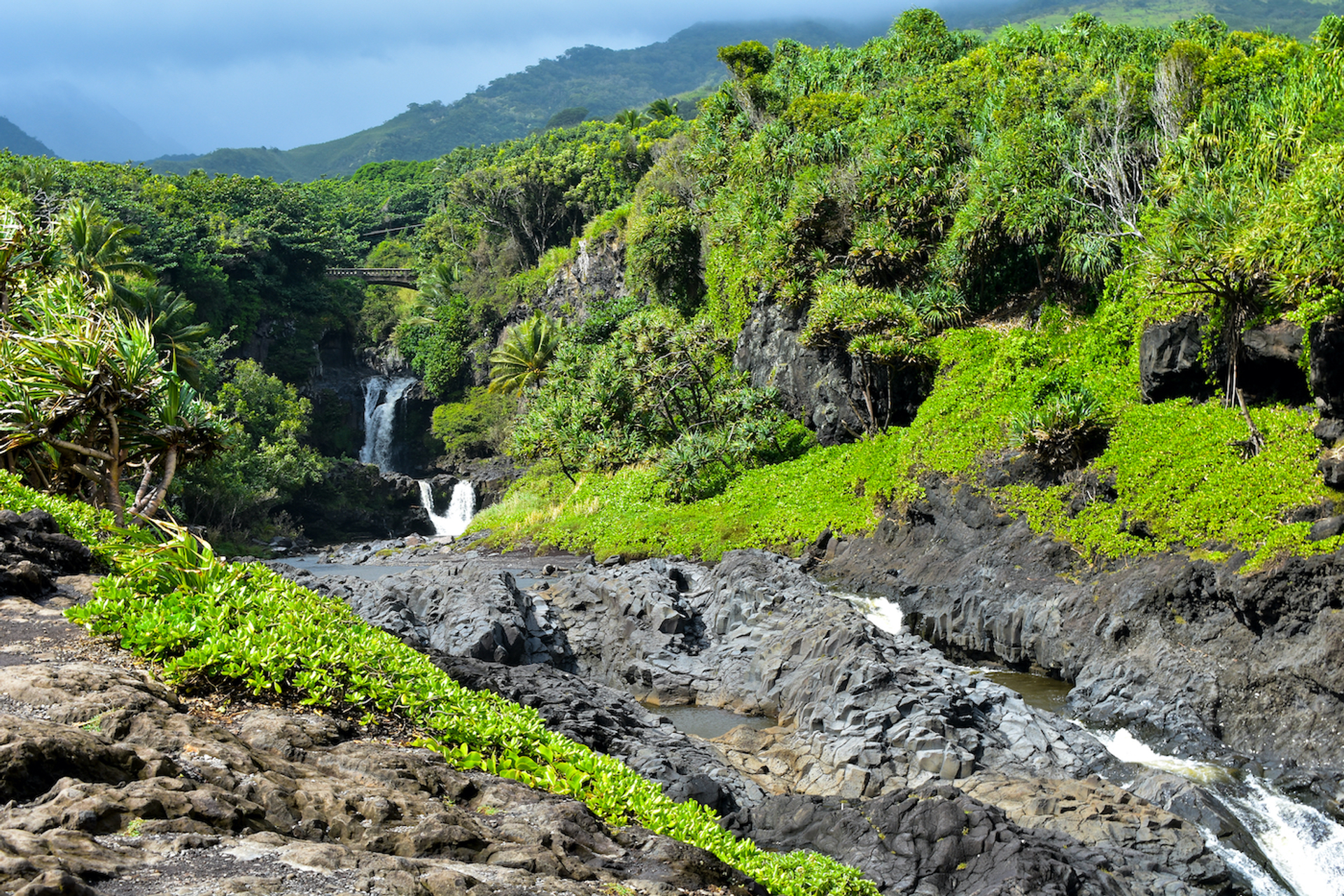 shutterstock_1488089633-1611229281