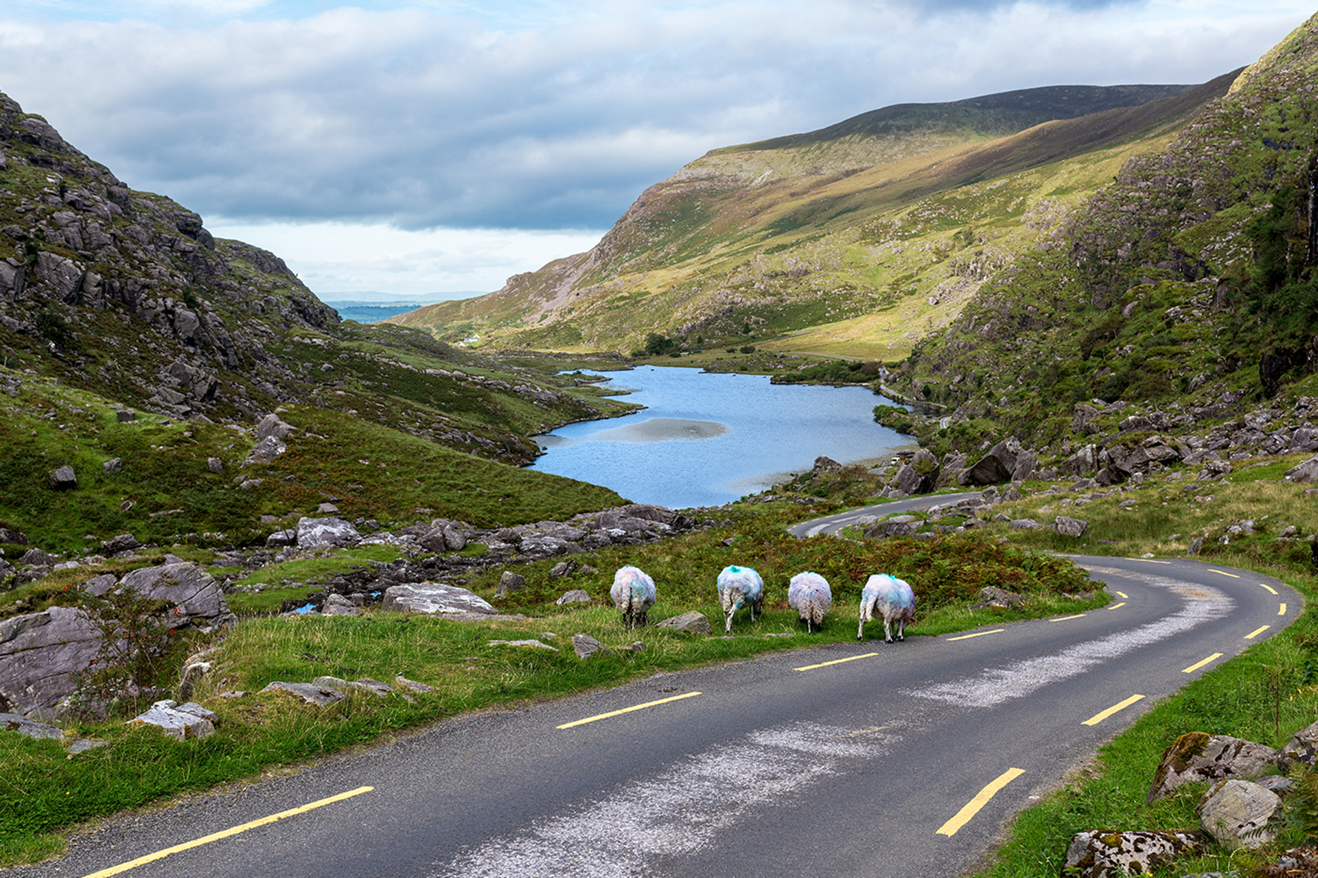 3OR_Gap_of_Dunloe_Killarney_Ring_of_Kerry-1667207717