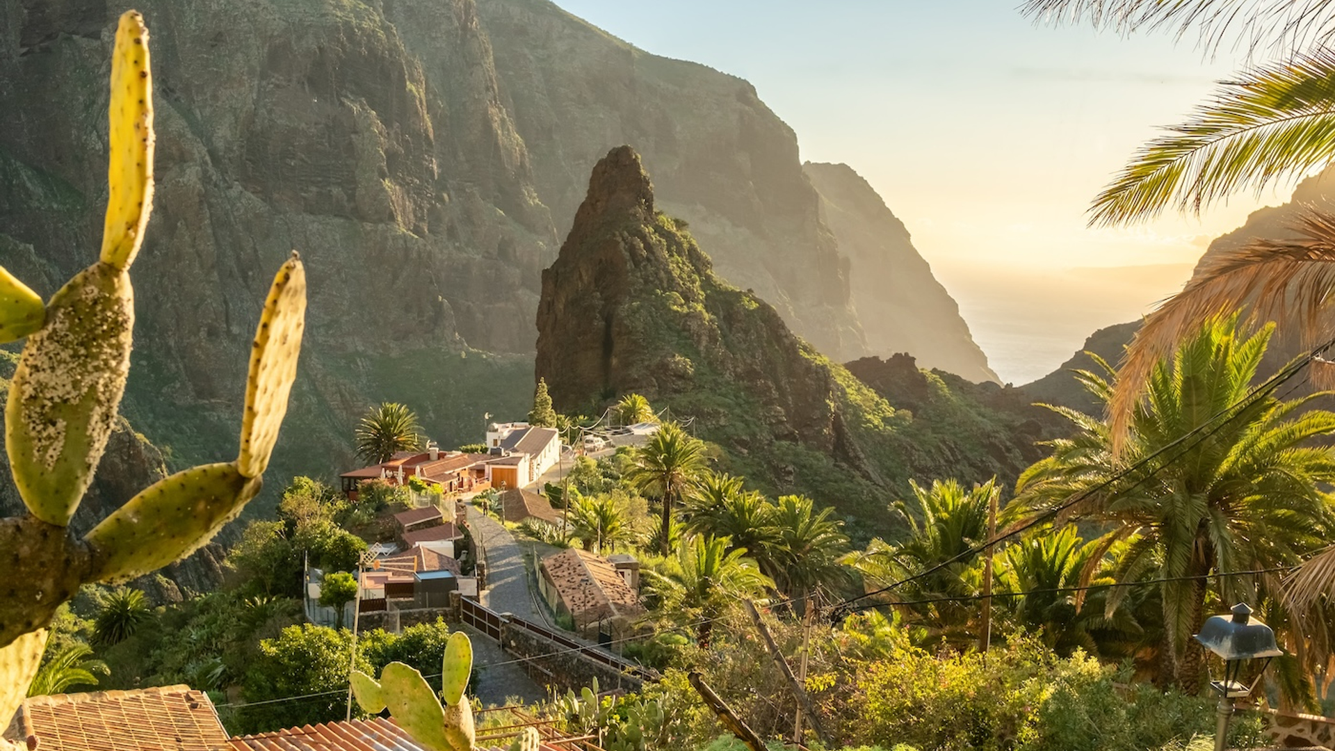 3OR_Fluittaal_Thumb-1726584824