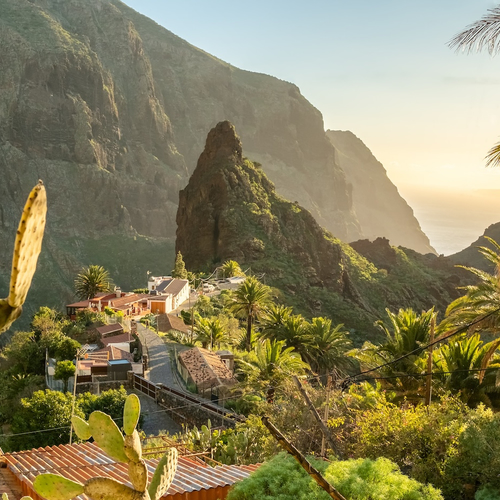 Niet lullen maar fluiten: De geheime taal van de bergen
