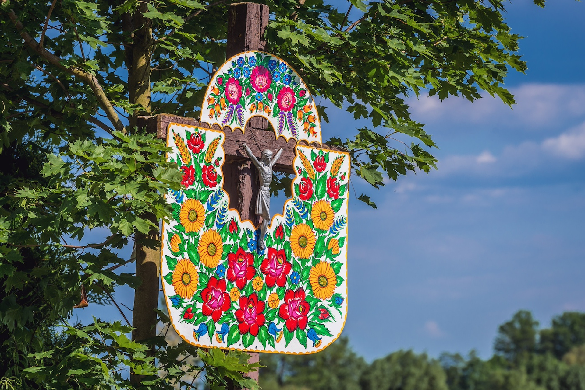 shutterstock_2451662227-1715679970