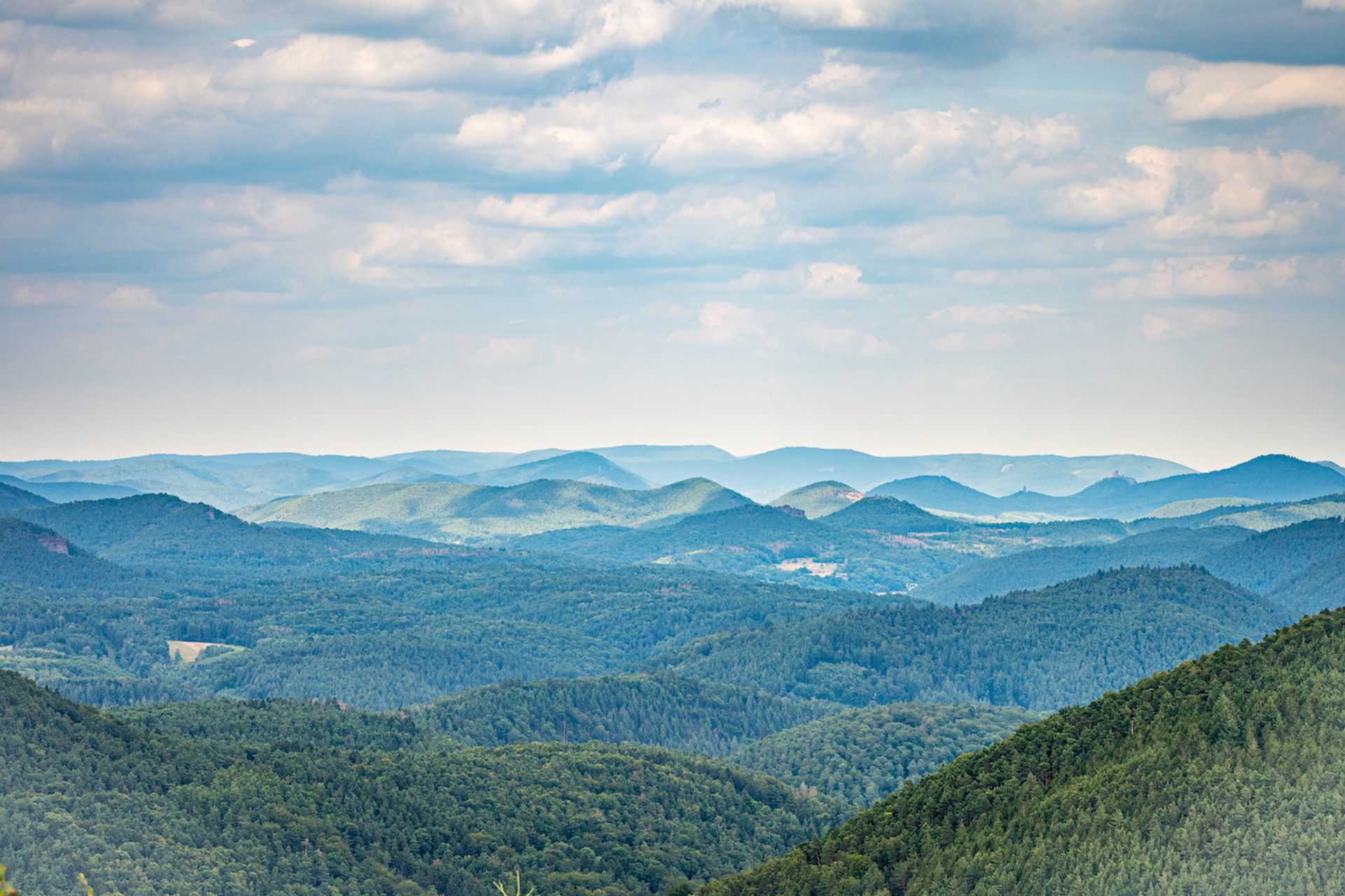 shutterstock_1820352095-1644593051