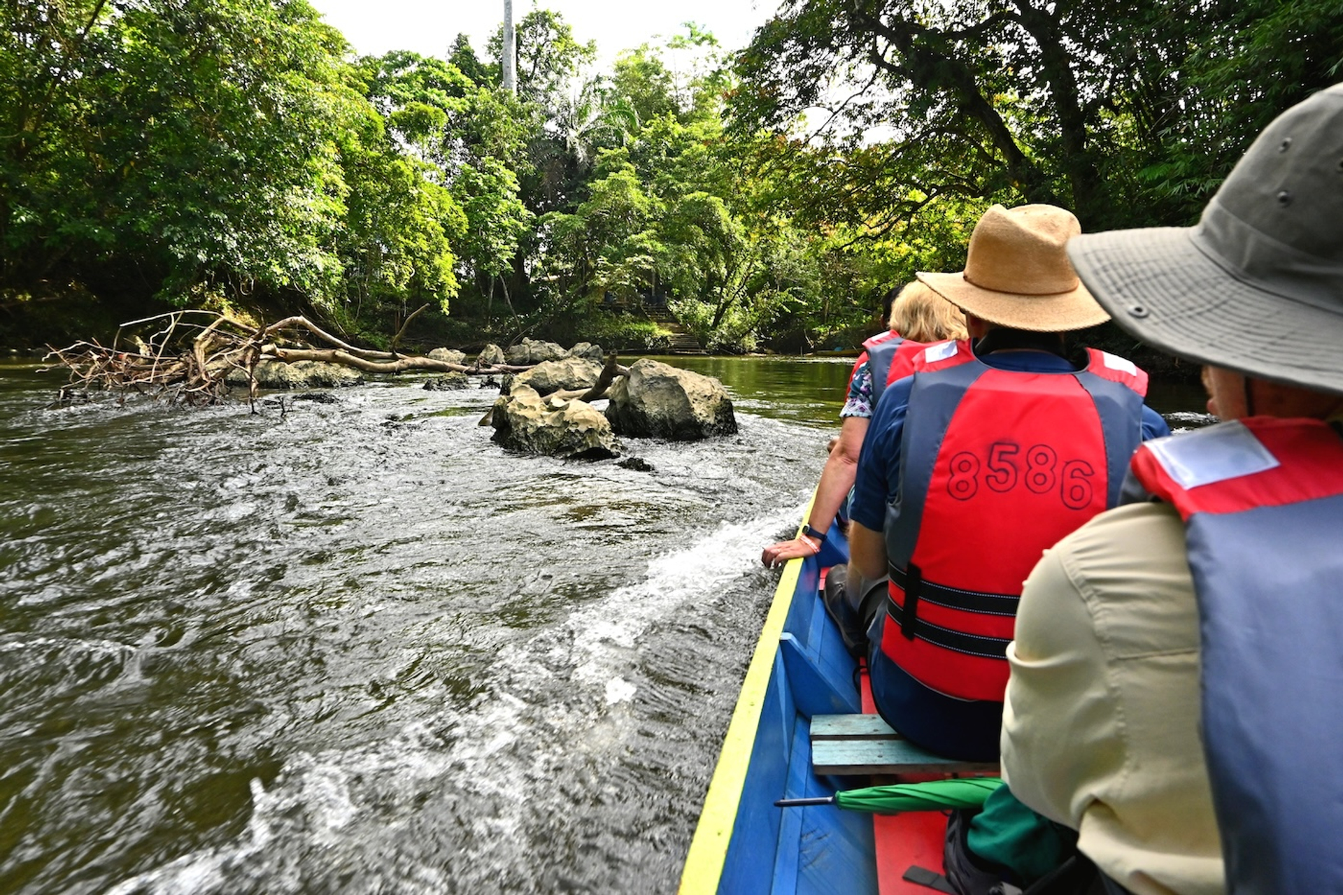 shutterstock_2311816393-1751956922