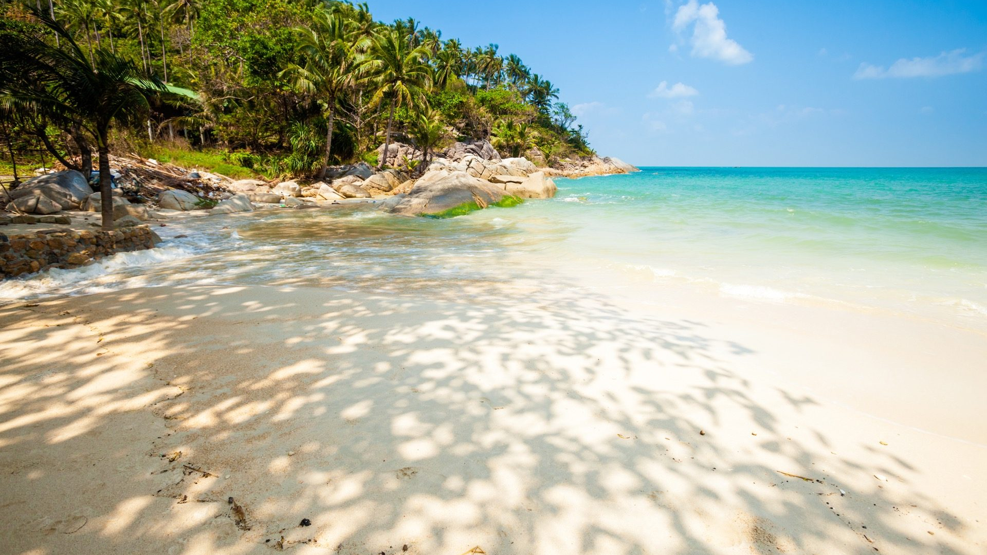 7a385afa-8d8b-4243-ae10-207f88c2ad52-1605101382