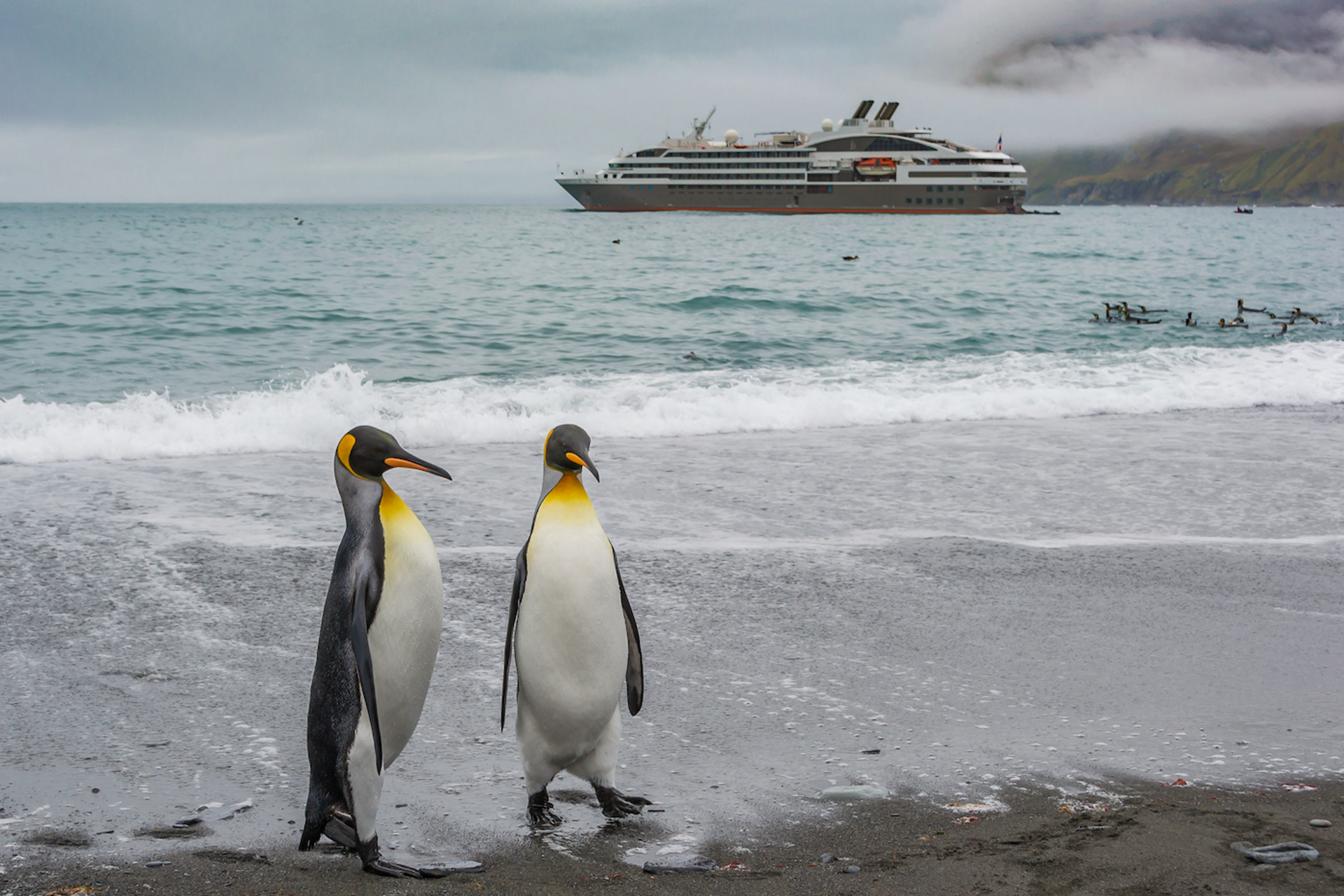 shutterstock_754044226-1649940314