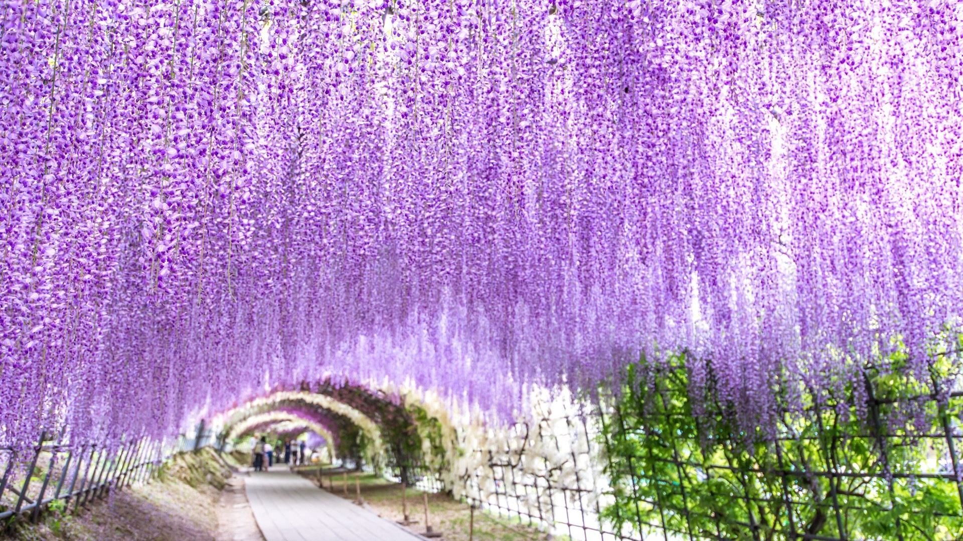 b658b2f2-94ce-489d-9440-3a3f6a89d822-1605102750