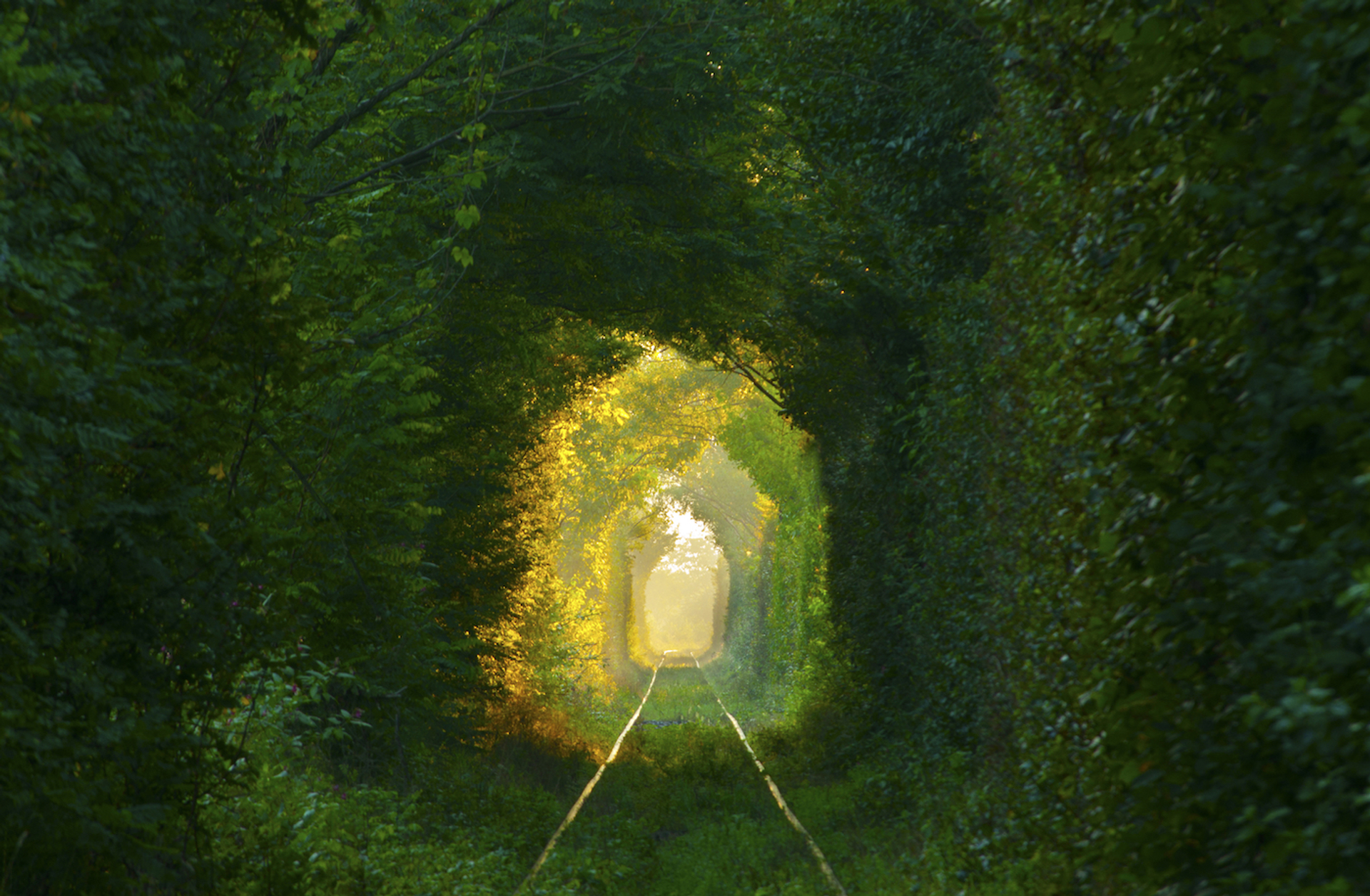 Mihai_Tamasila-1641907607