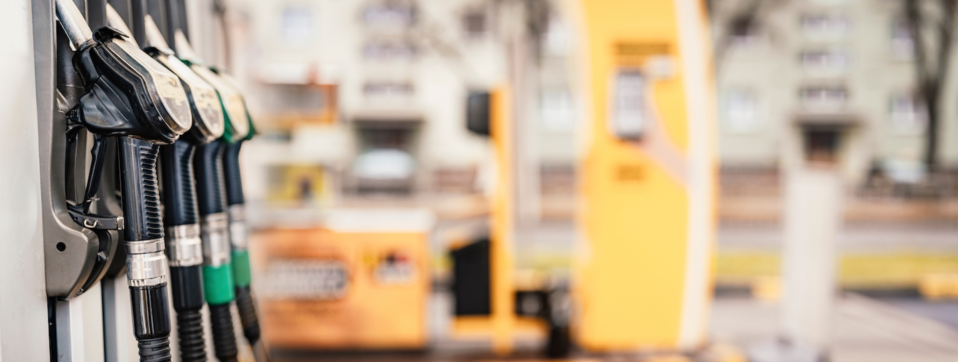 zedspider-1647622197