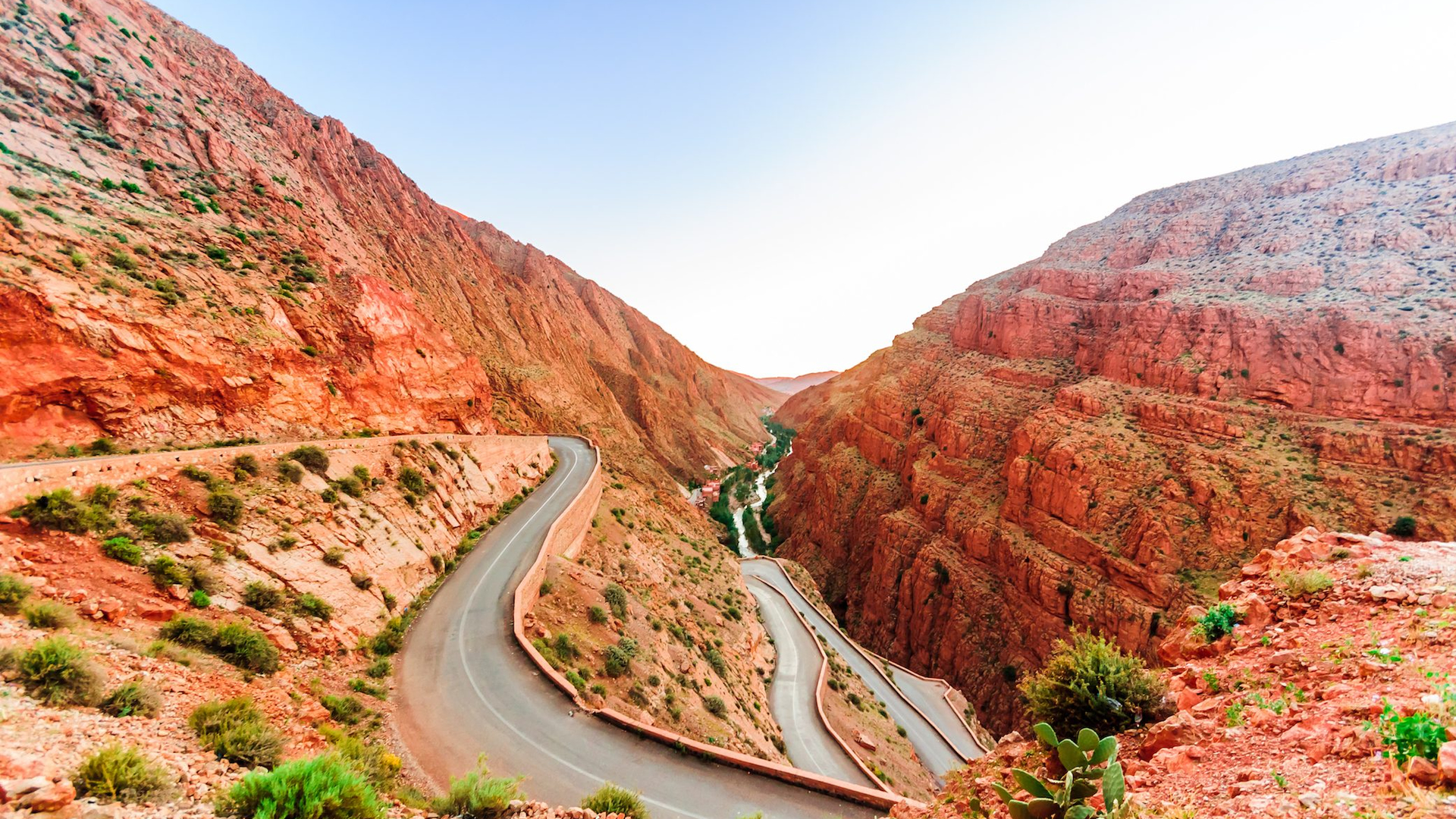 78bc0130-e8ed-4dfa-8014-0dc4a76e6544-1605104964