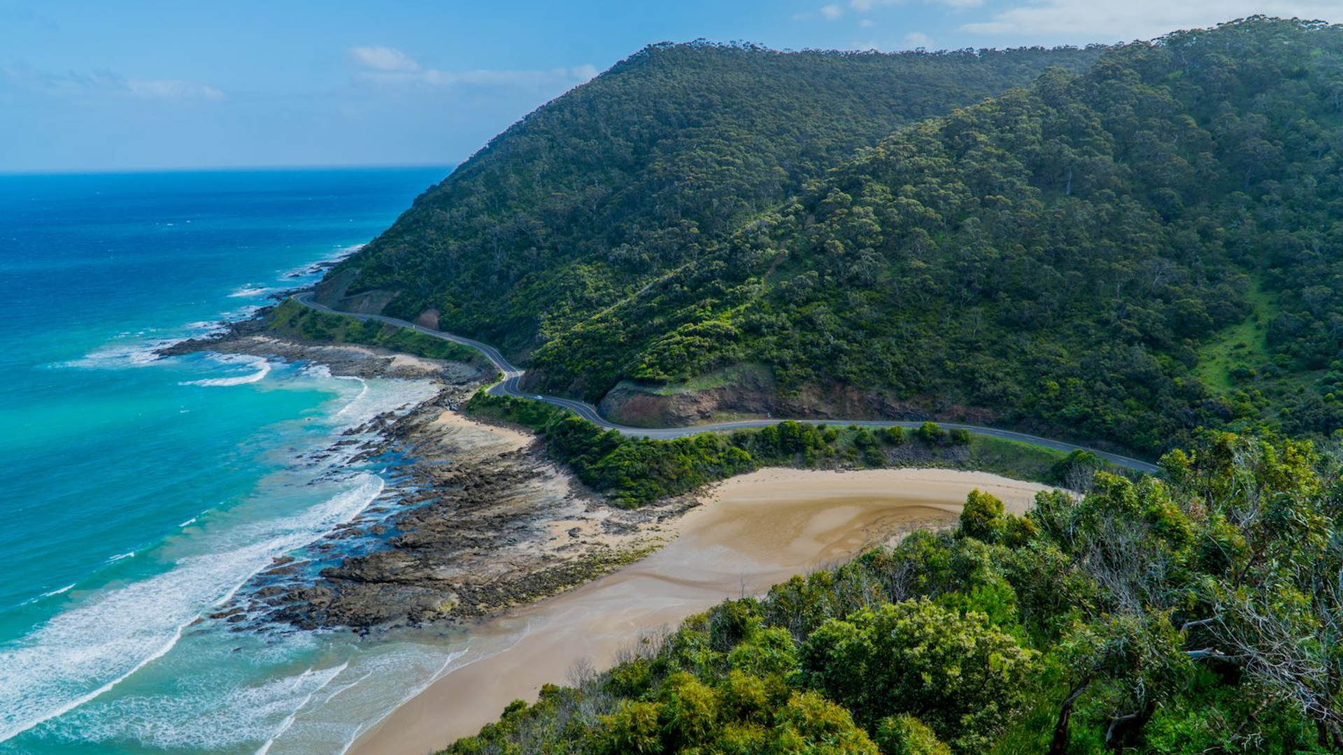 f6e68877-04b1-4e61-85a2-d73c481534c7-1605105365