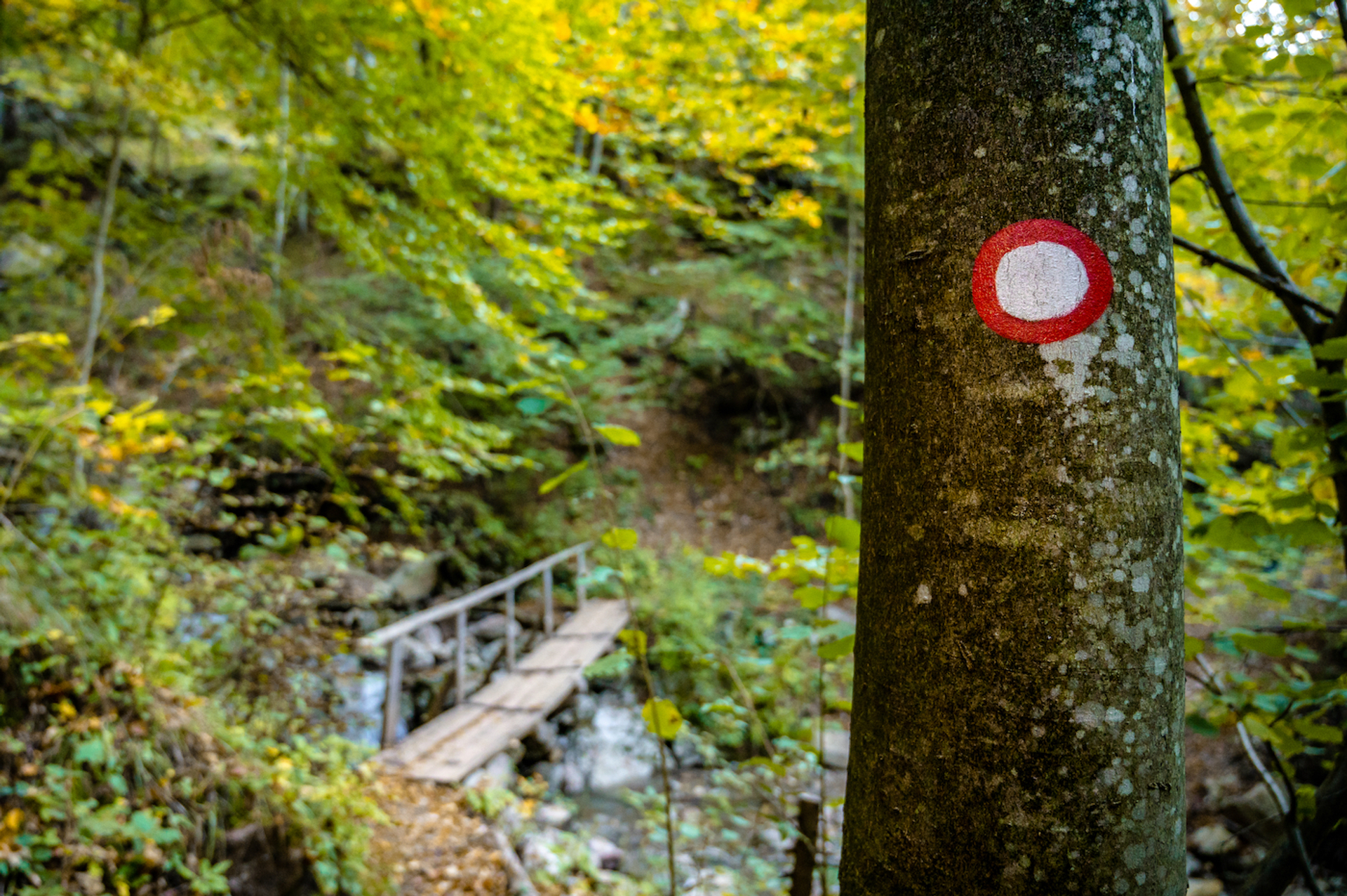 shutterstock_1885505425-1653994178