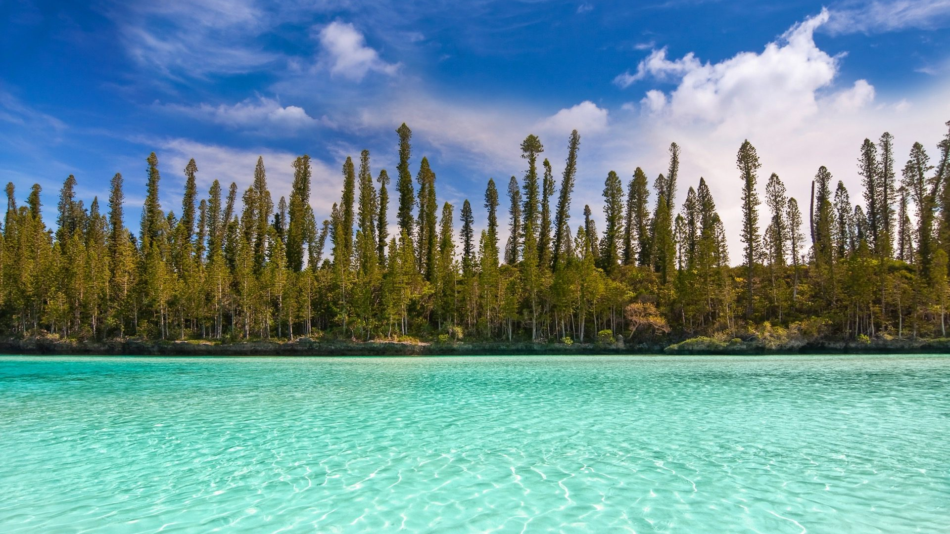 7c83e5d3-034b-4b82-b67c-6fe88d94876d-1605103439