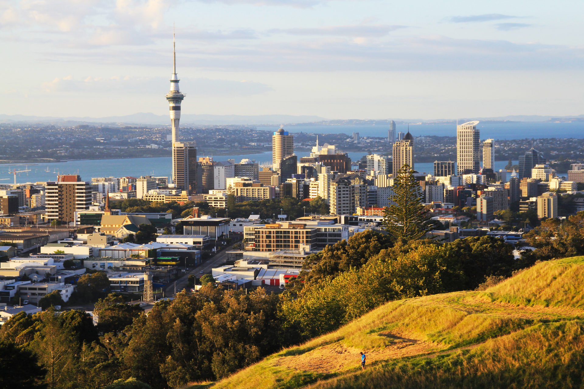 3OR_Auckland-1669219424