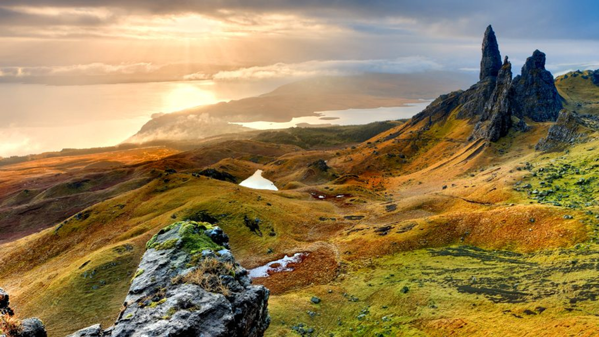 1c7648a0-0512-4d16-8e1a-caf680ab1adb-1605104835