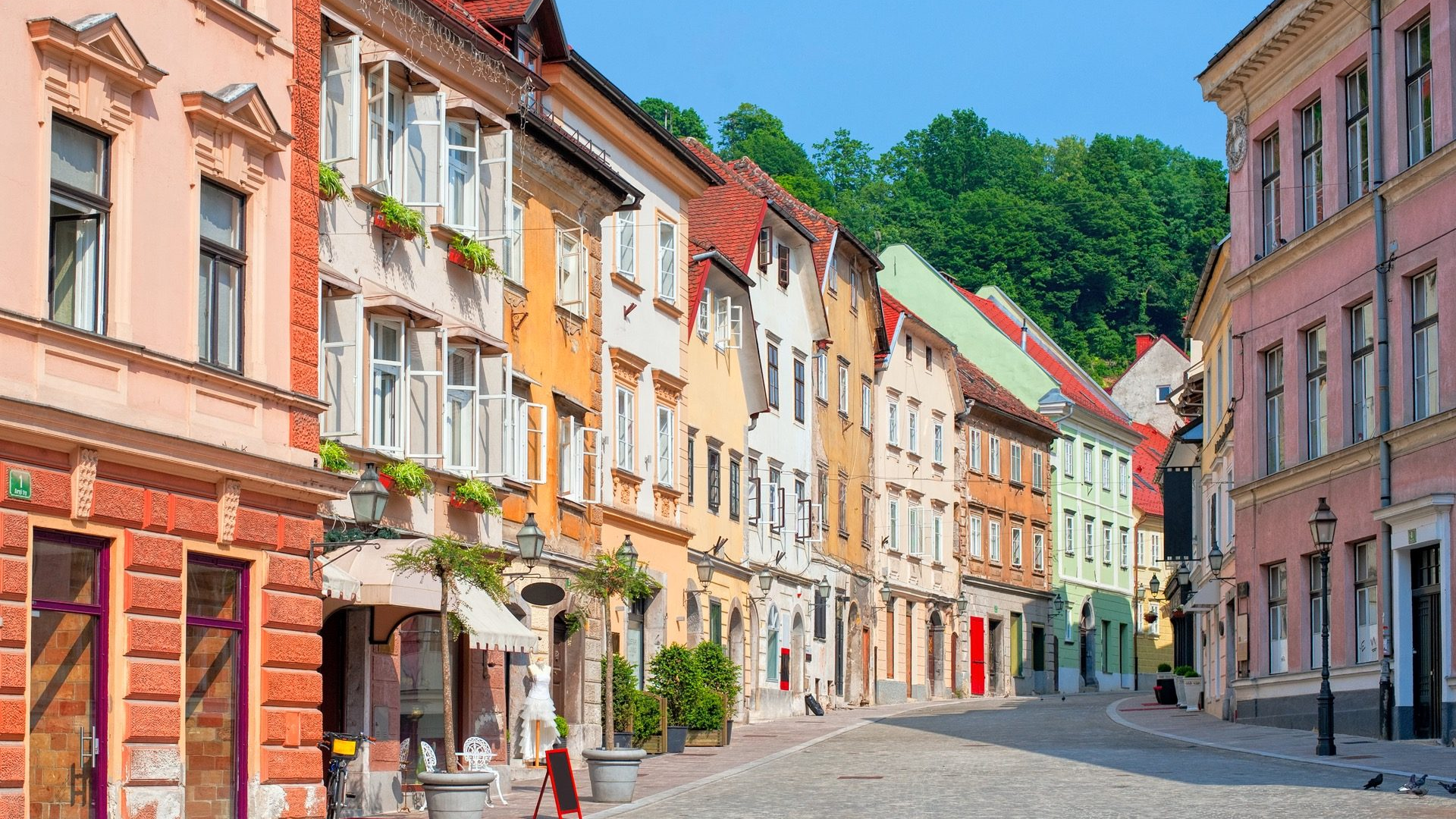 ad60c7c8-06e2-488c-86ec-30c8bbefac68-1605103628