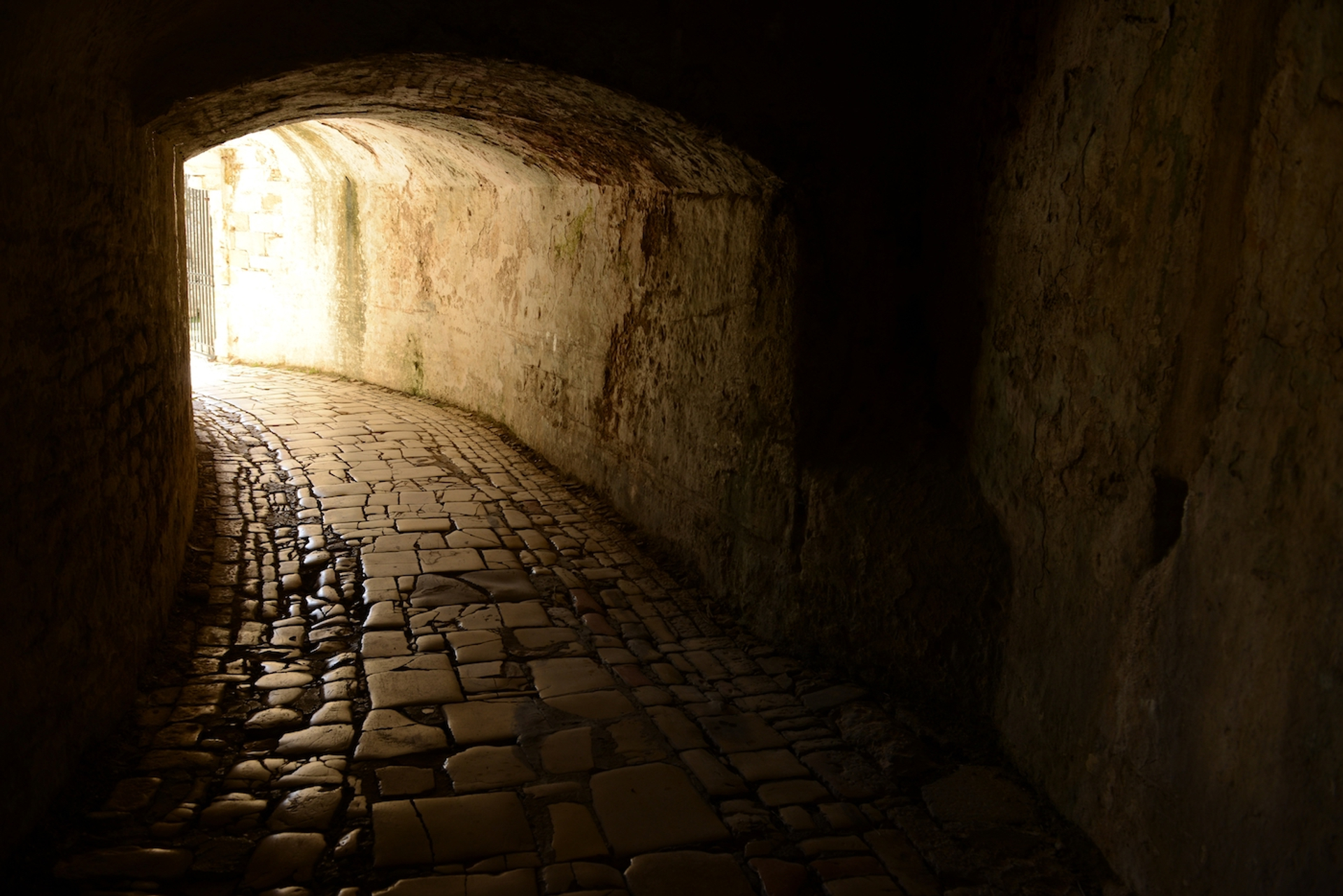 shutterstock_2283128487-1692786676