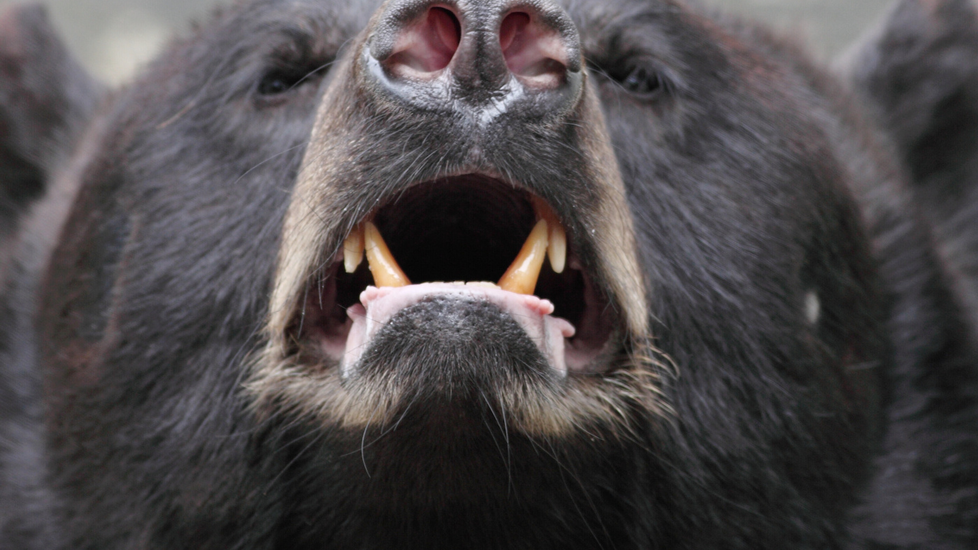 shutterstock_53916946-1697117195