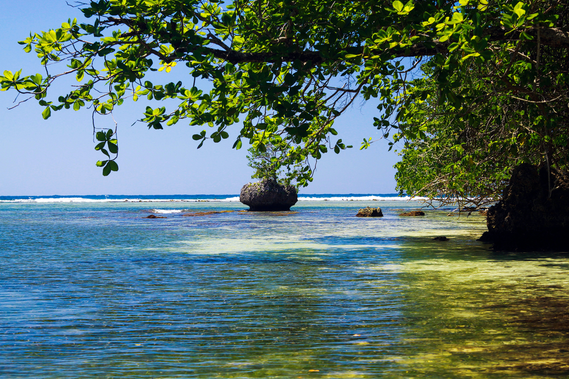 shutterstock_1407953393-1635510505