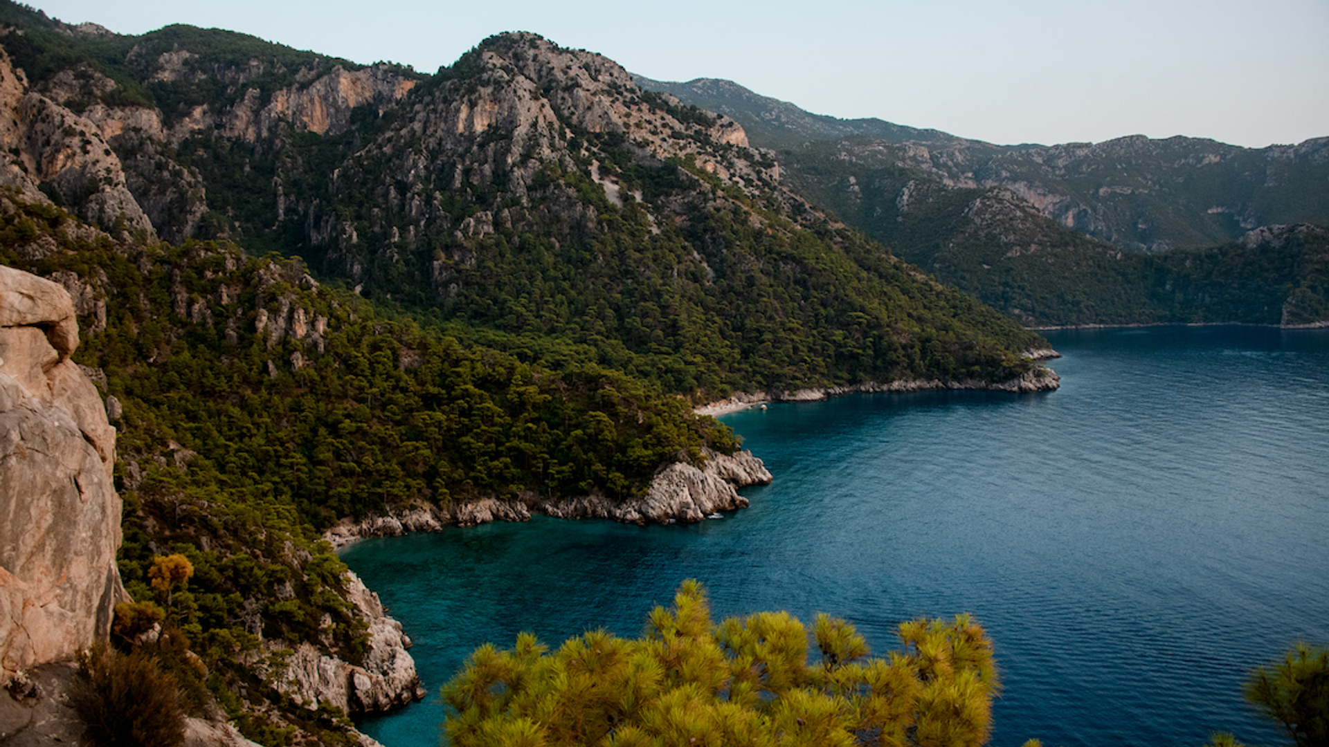 shutterstock_1930916267-1642692881