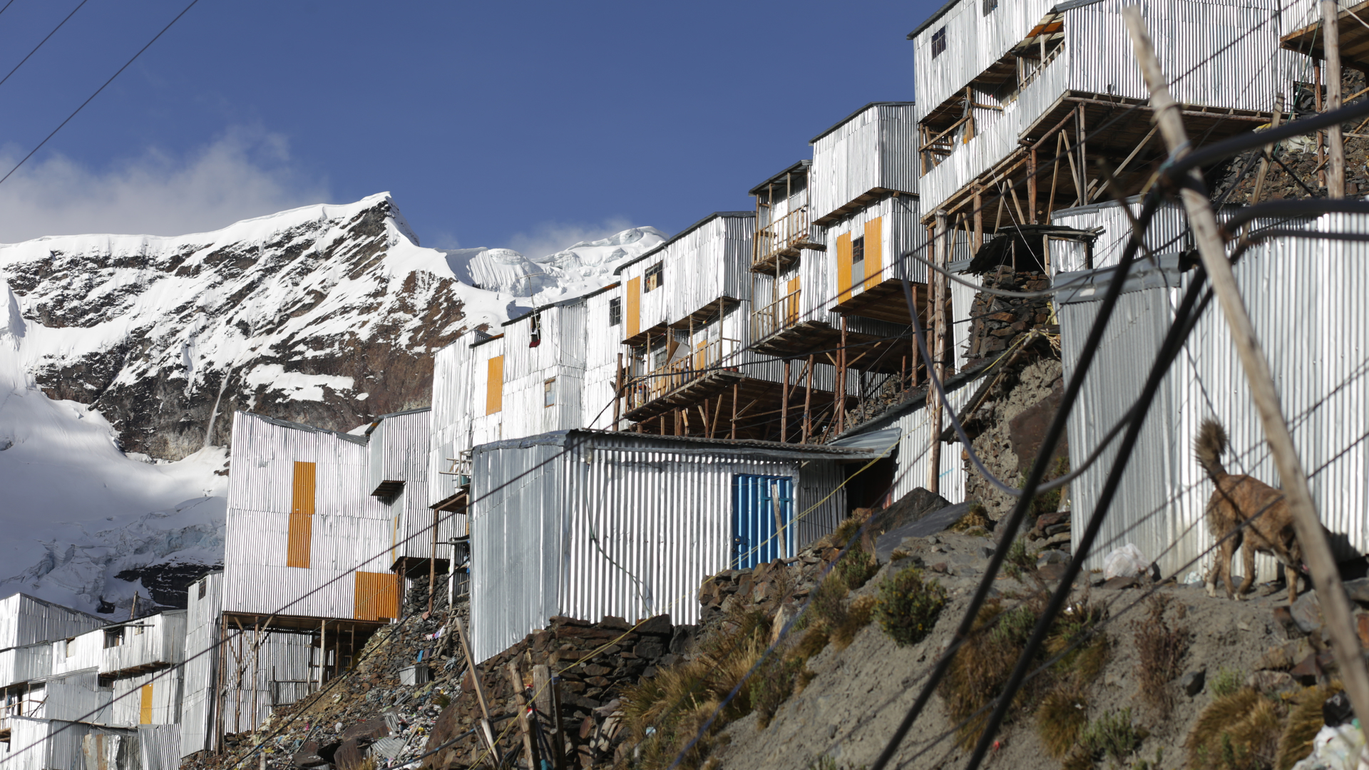 shutterstock_1277781046-1667469724