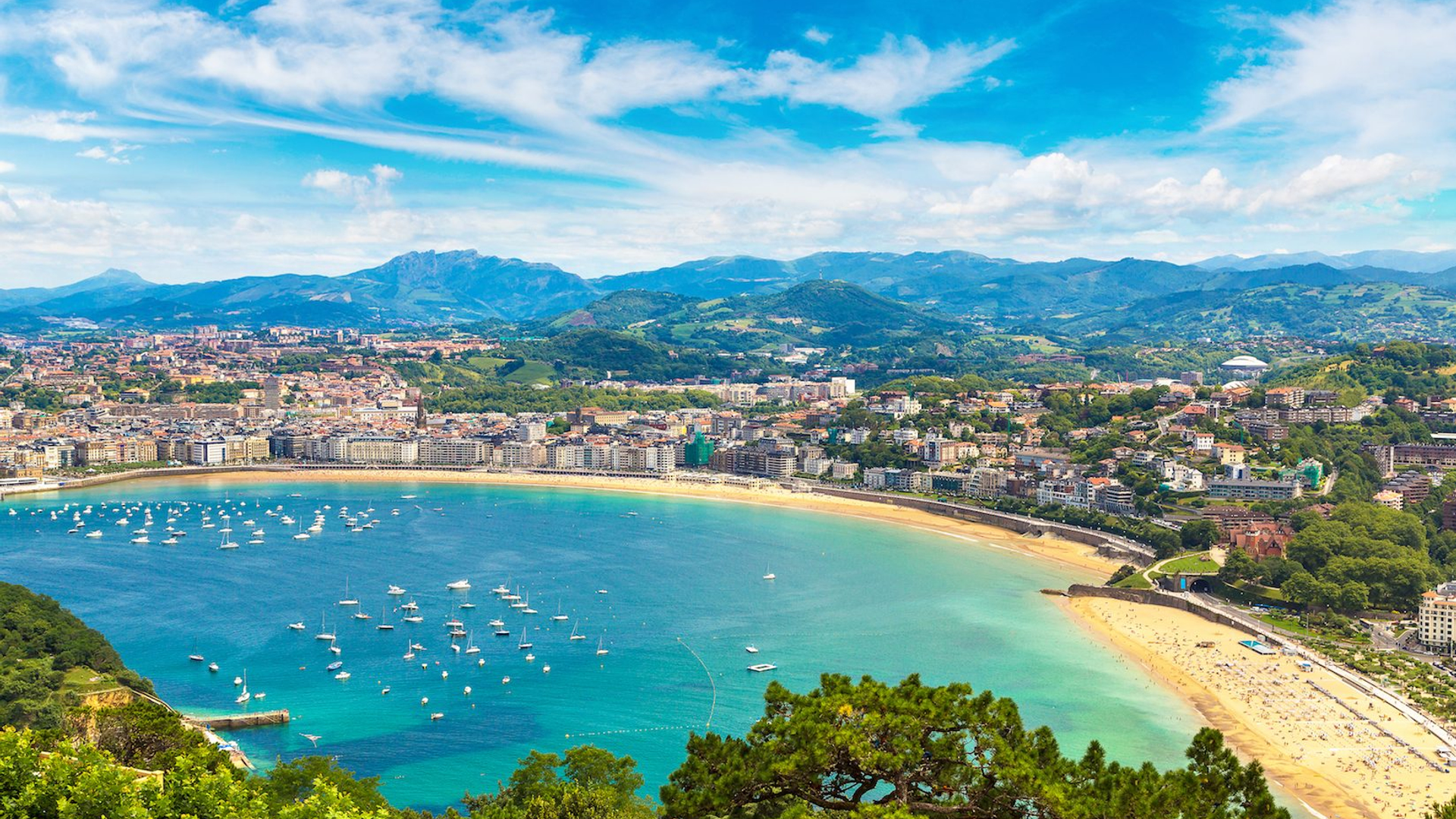 f87e301e-4b94-4192-a3ef-e23aa3a21d5f-1605101047