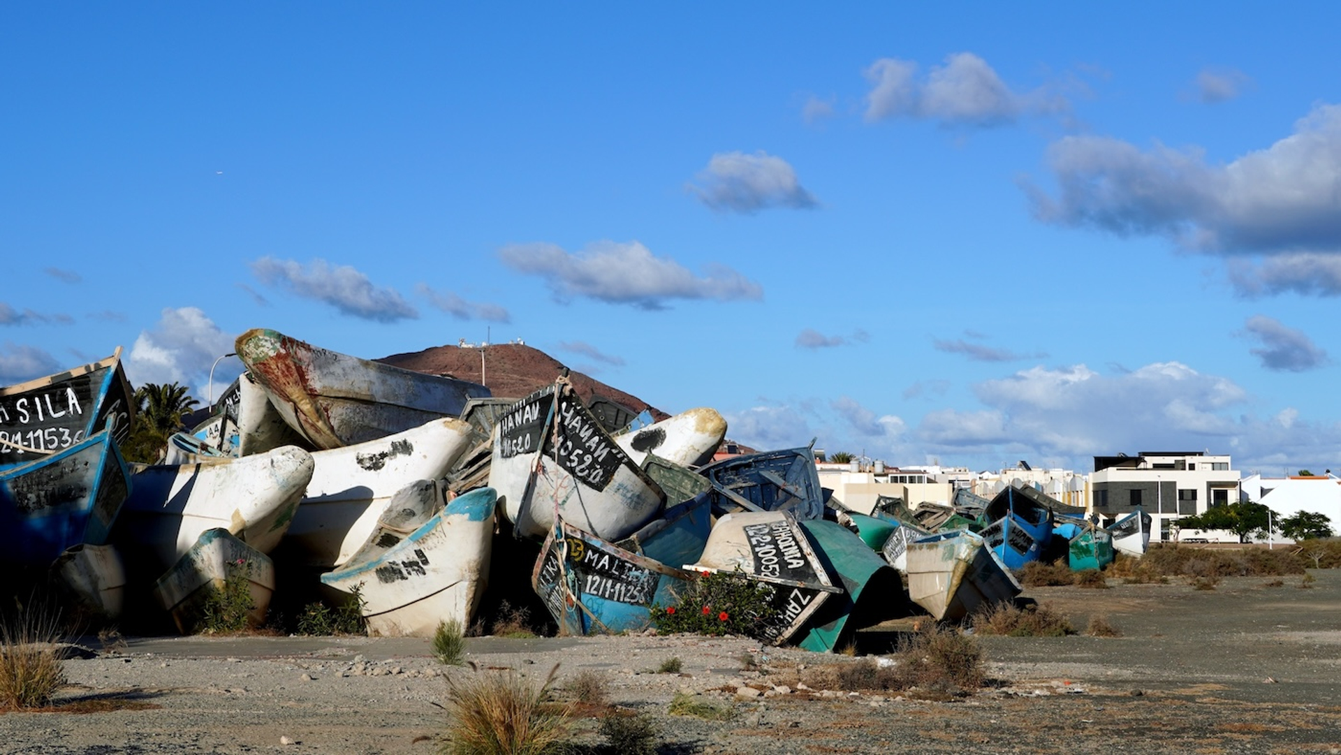 Canarische__Canary4stock_-1750079641