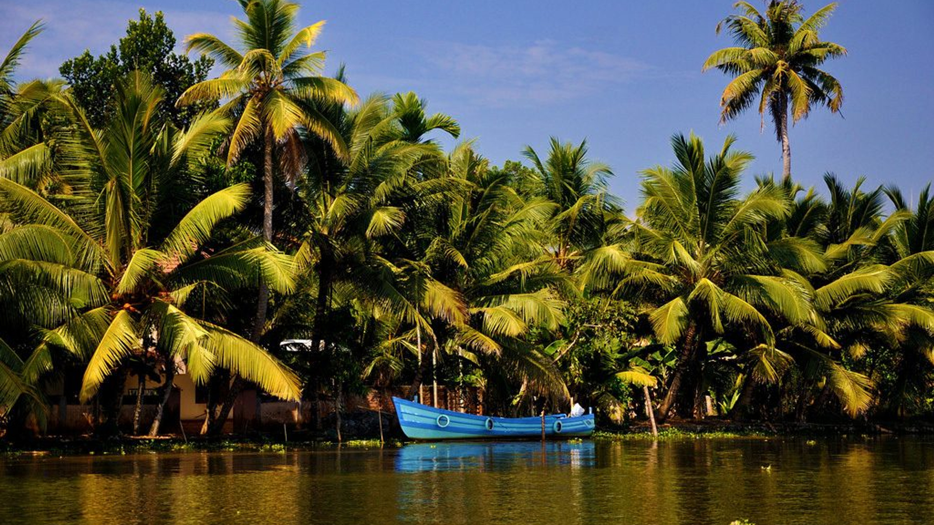 f5927574-327e-418c-9bb9-325ffa2f1e87-1605104460