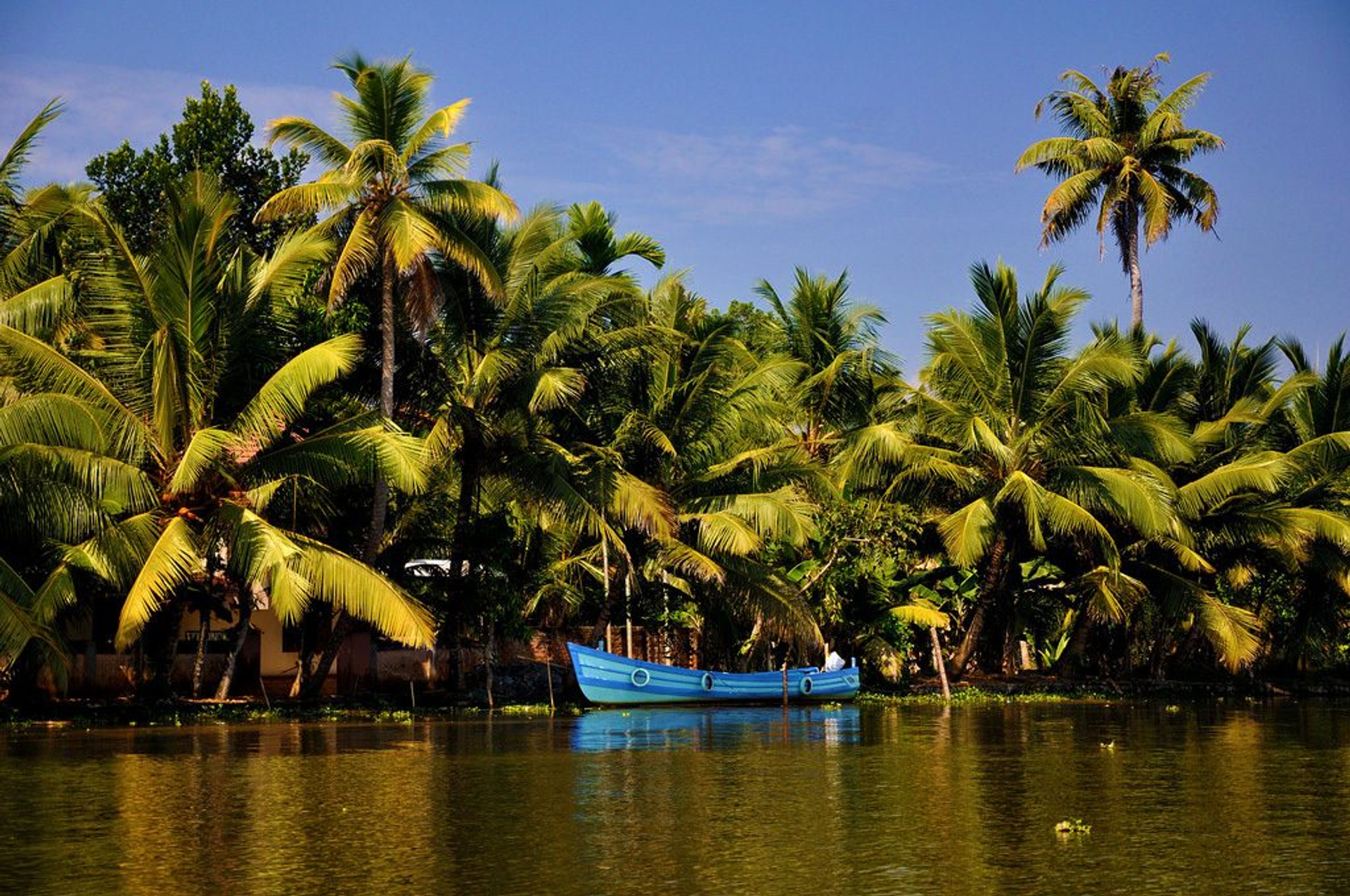 Afbeelding van Kerala