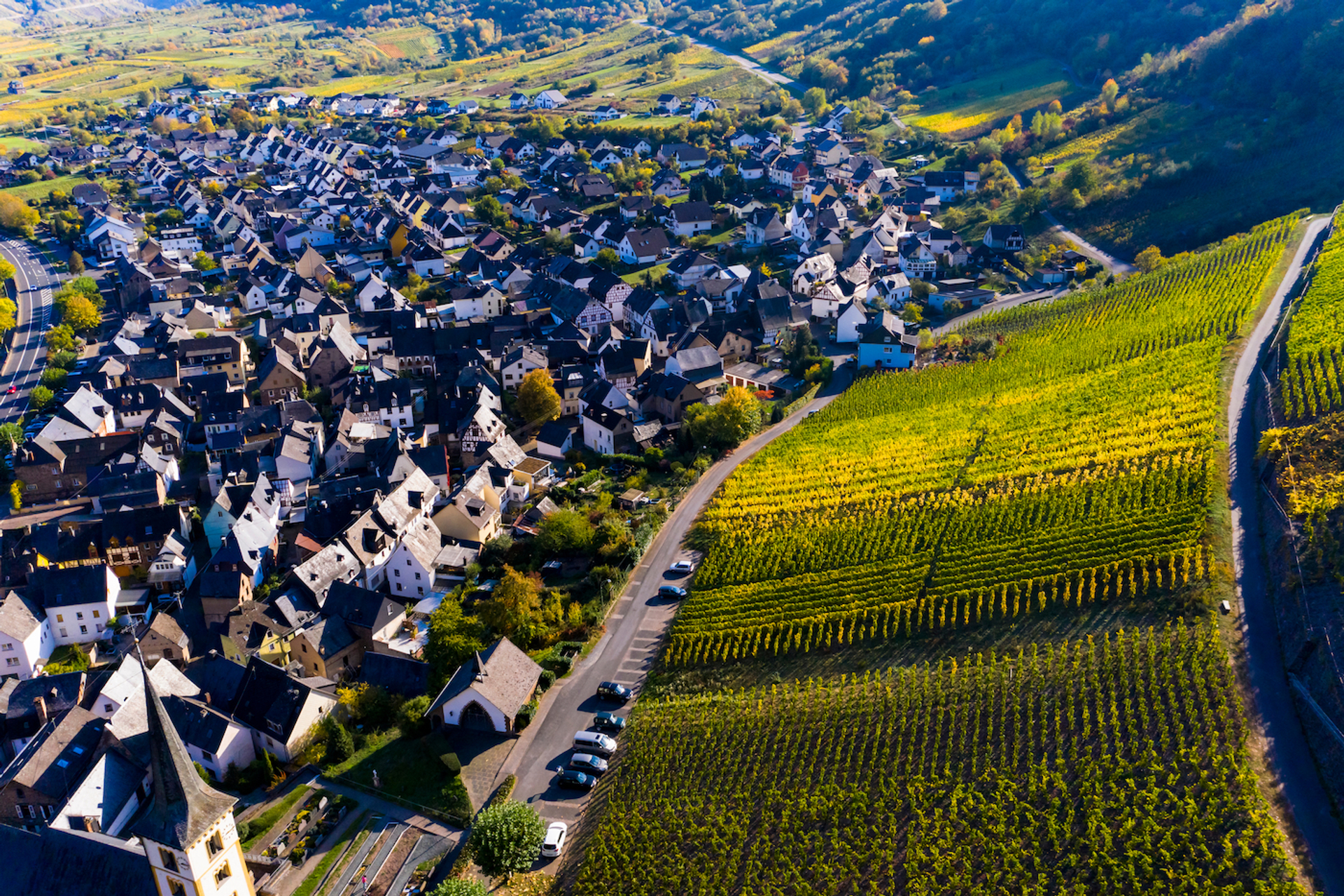 shutterstock_1213692031-1644593183