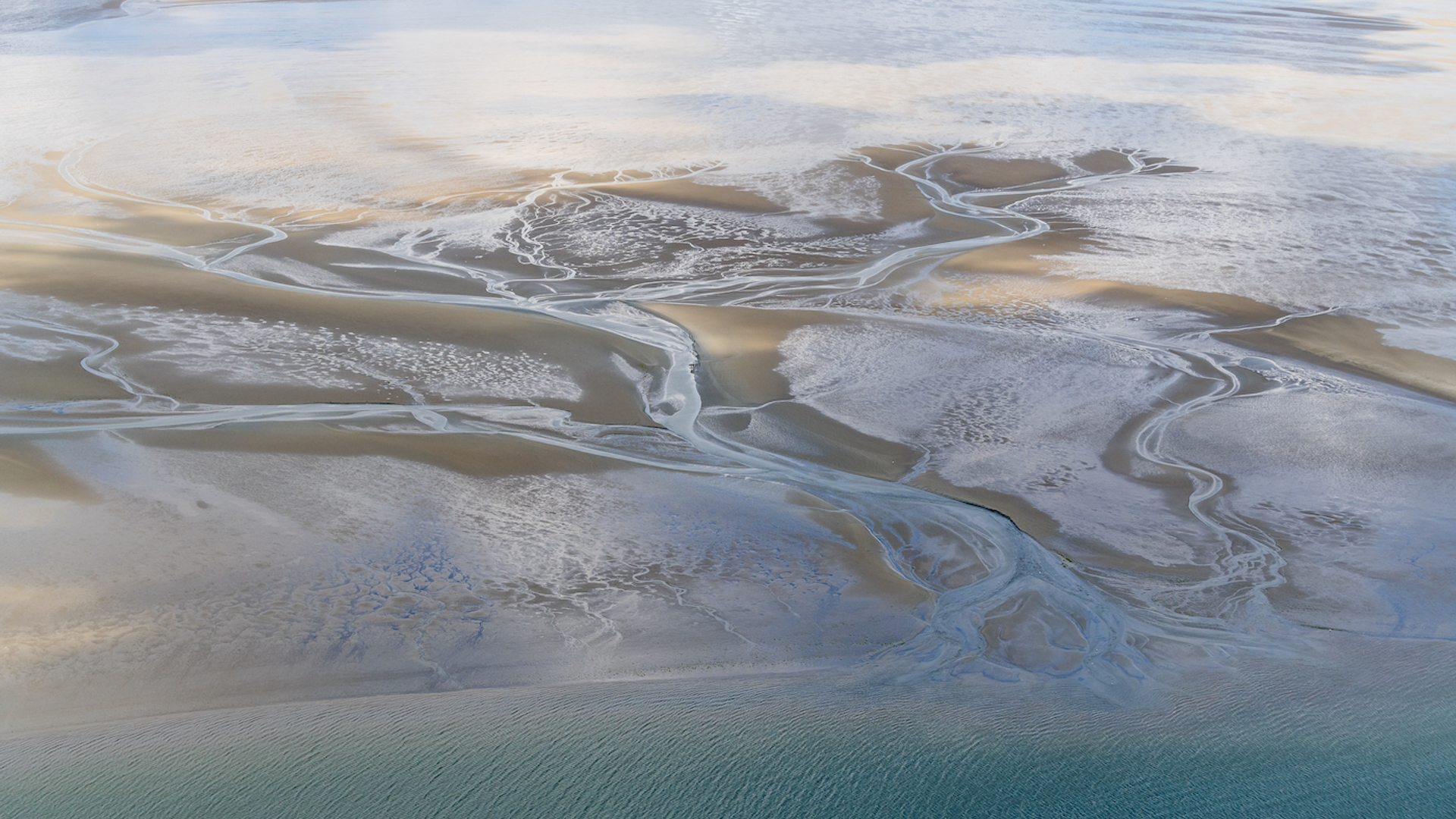 shutterstock_1138498292-1686809759