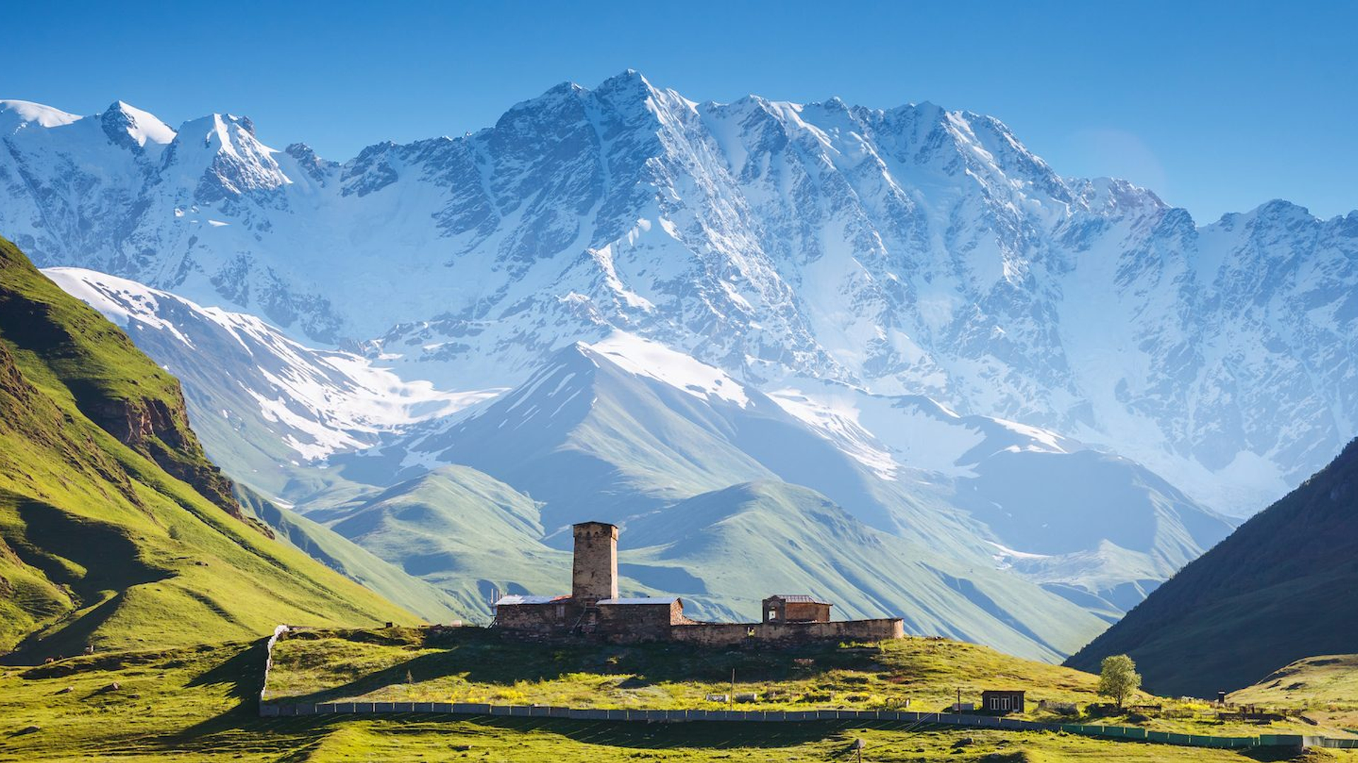 8295c119-eaaa-4dc7-913f-9a907b82e0e0-1605104871