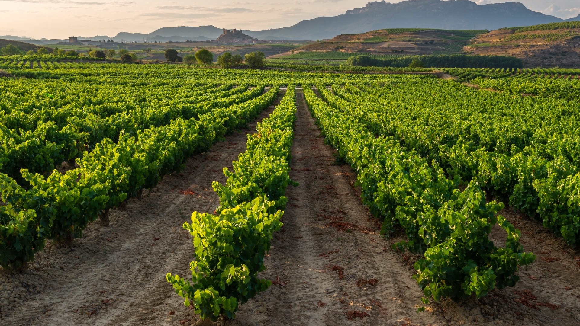 e7da70ce-cdfd-4a4b-a8ac-10112cb6b2fb-1605103971