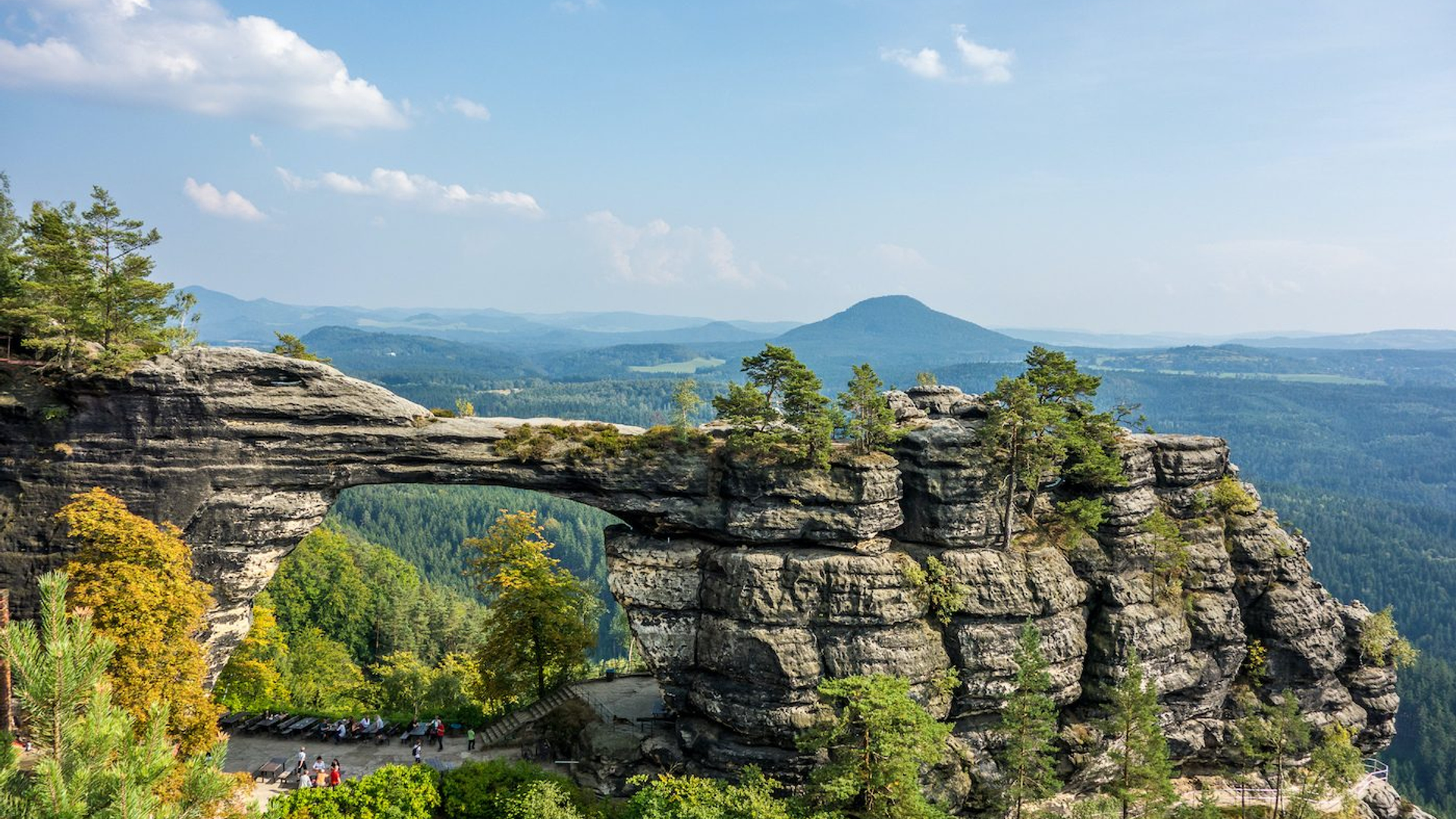 8f61fcc6-5a9a-48ae-8f13-a7ed93172fe1-1605001157