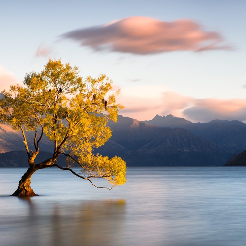 Wanaka