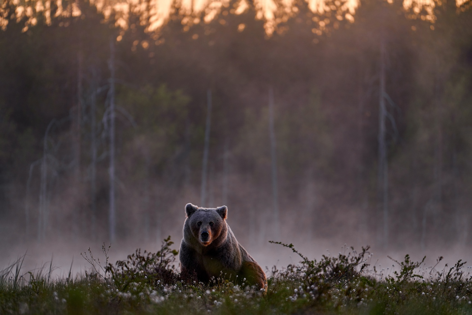 shutterstock_2332023975-1721739016