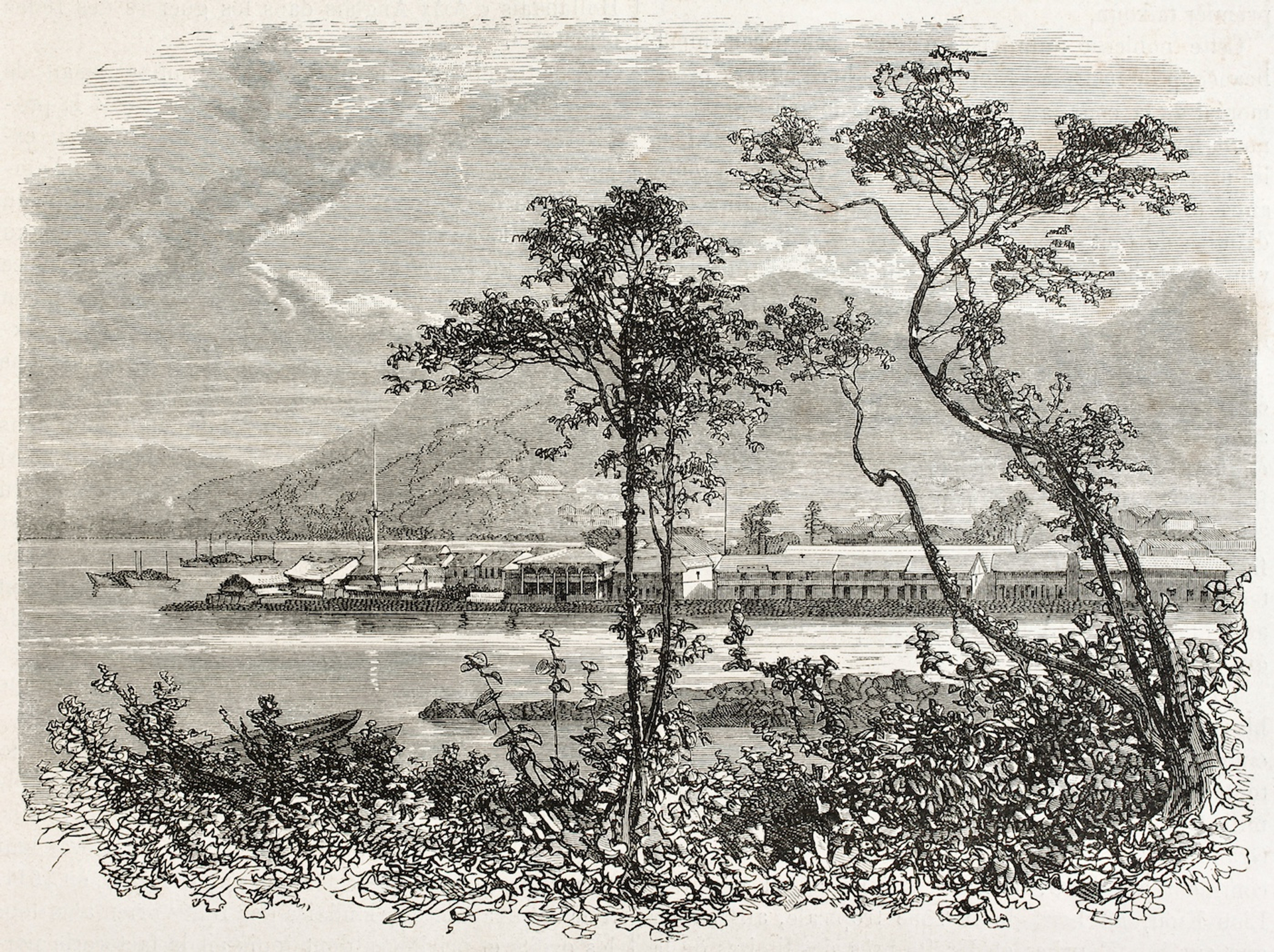 shutterstock_95815279-1718964510