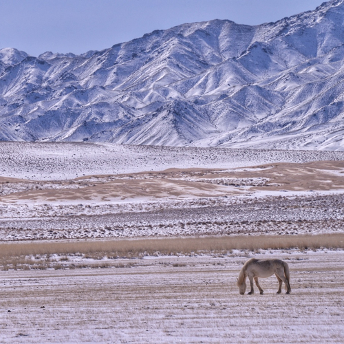 Een woestijn waar de zon schijnt, maar je je korte broek thuis moet laten