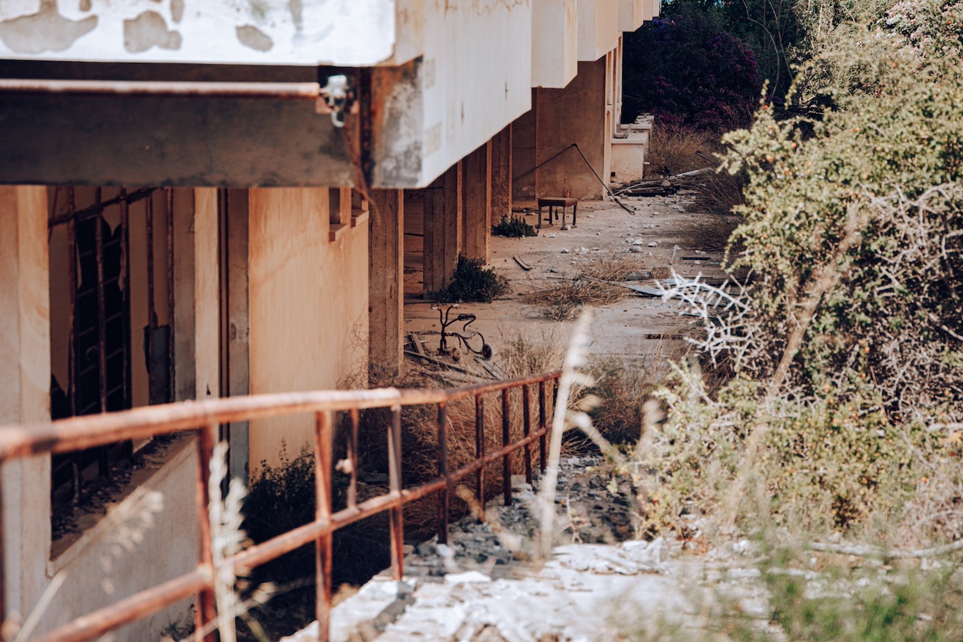 shutterstock_2293171569-1726483649