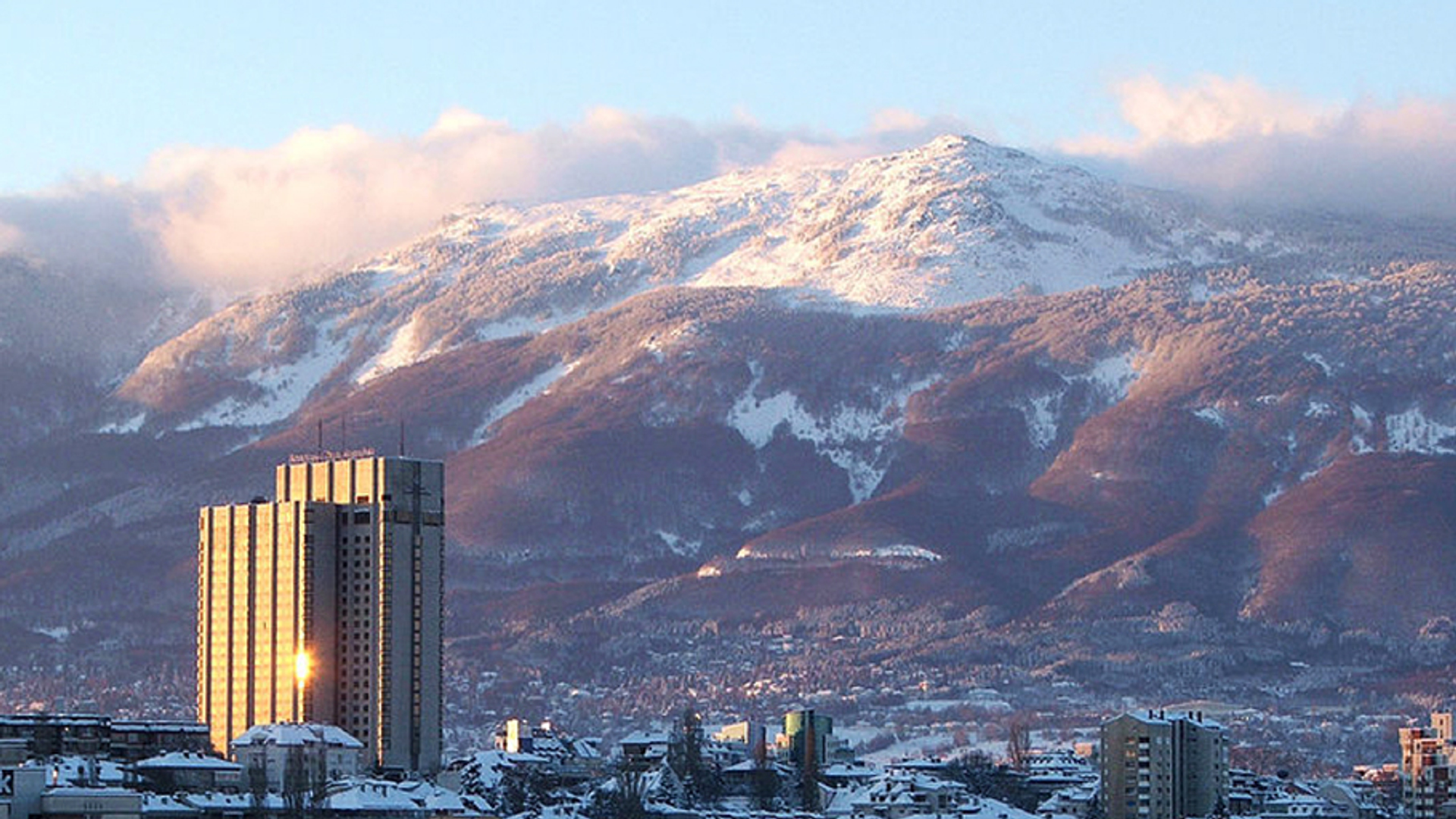 19ea46e2-6577-432b-82c2-61fdce0a7f03-1605000702