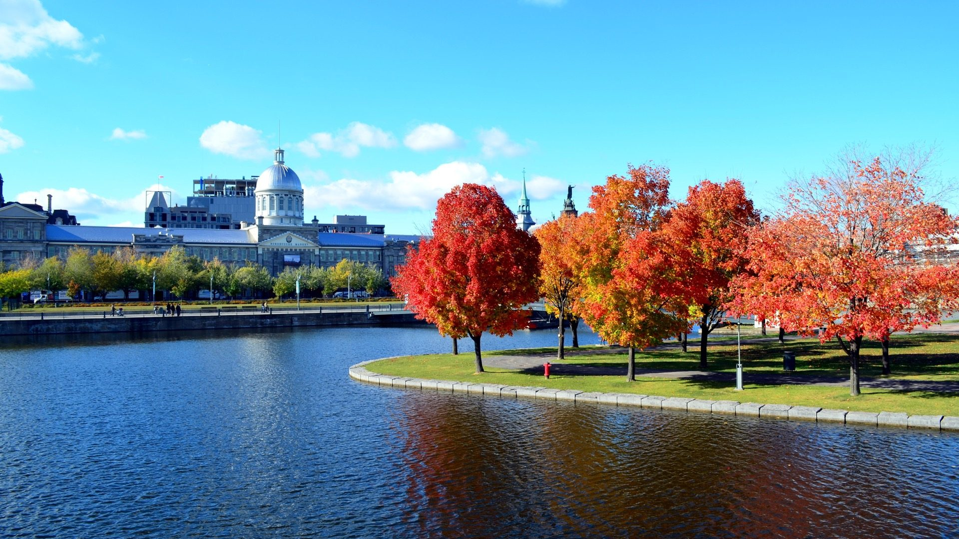 7fa7be61-96a7-4922-805d-b64c67f04e86-1605090458