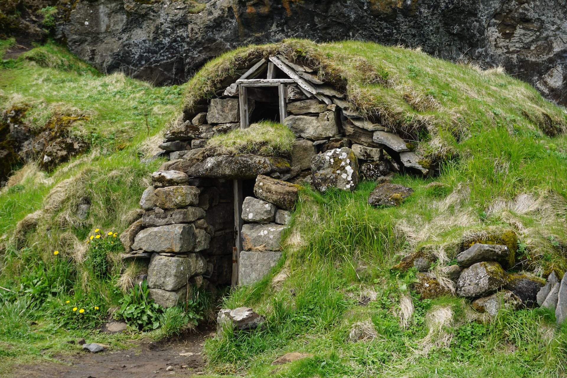 shutterstock_1129093670-1636563919