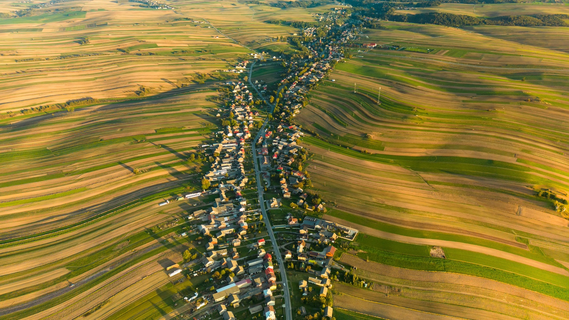 shutterstock_2445946797-1741103530