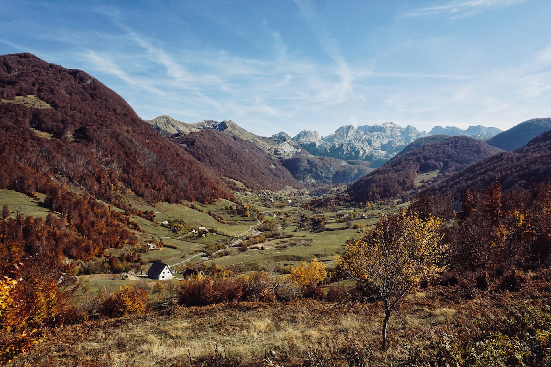 Loren_TheGuy-1738081847