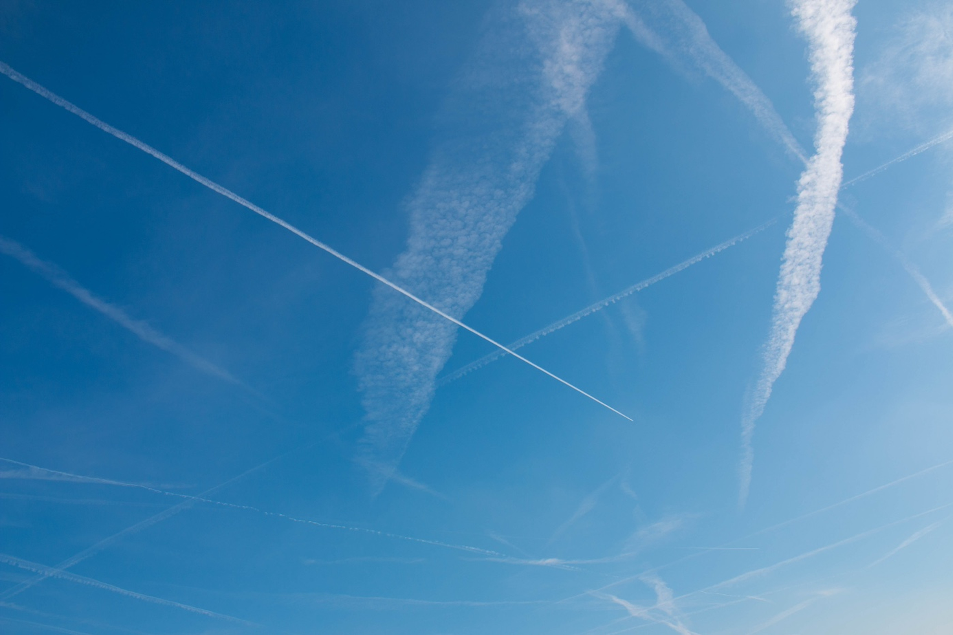 shutterstock_588101390-1714570660