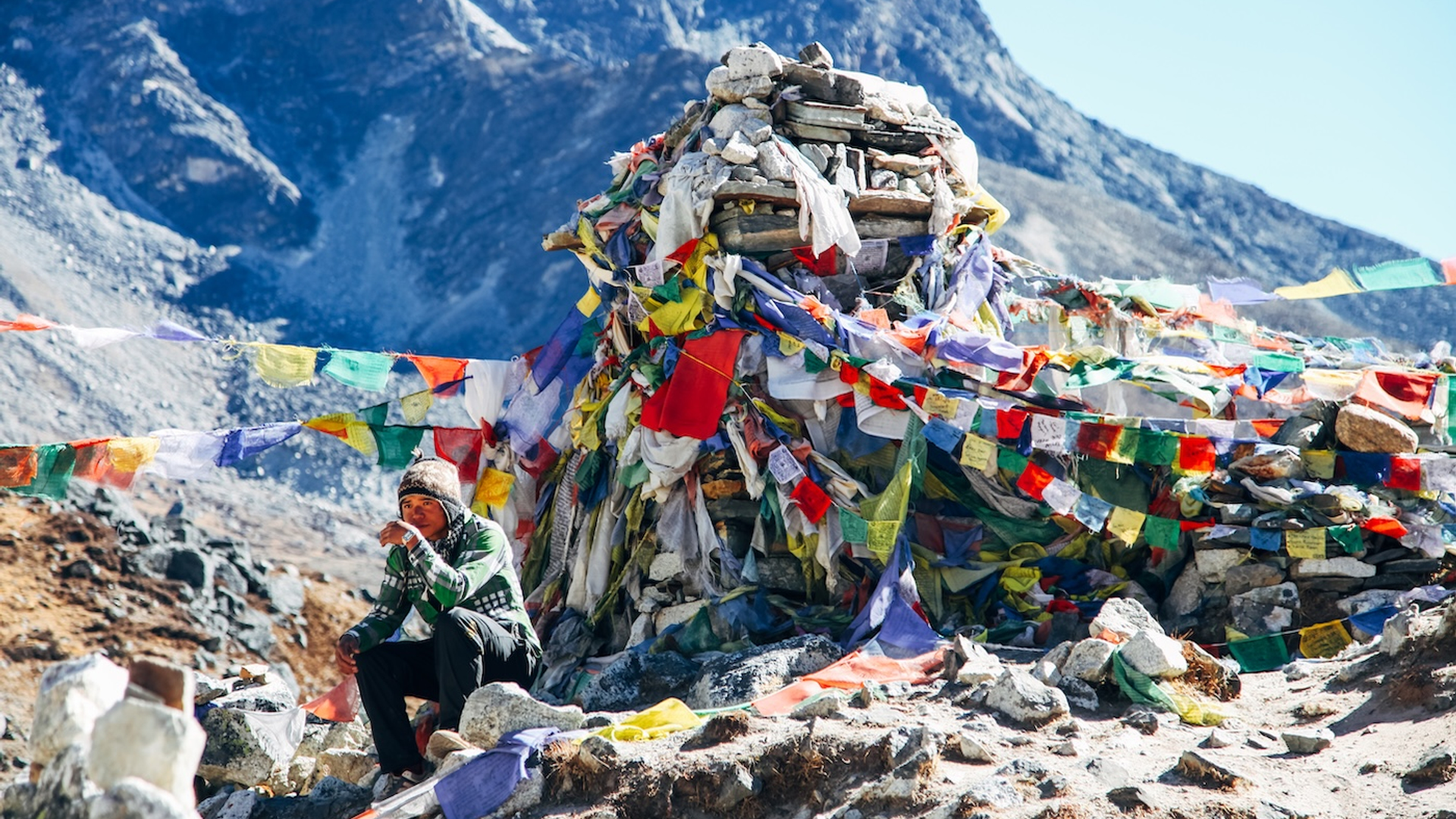 shutterstock_784028158-1741963146