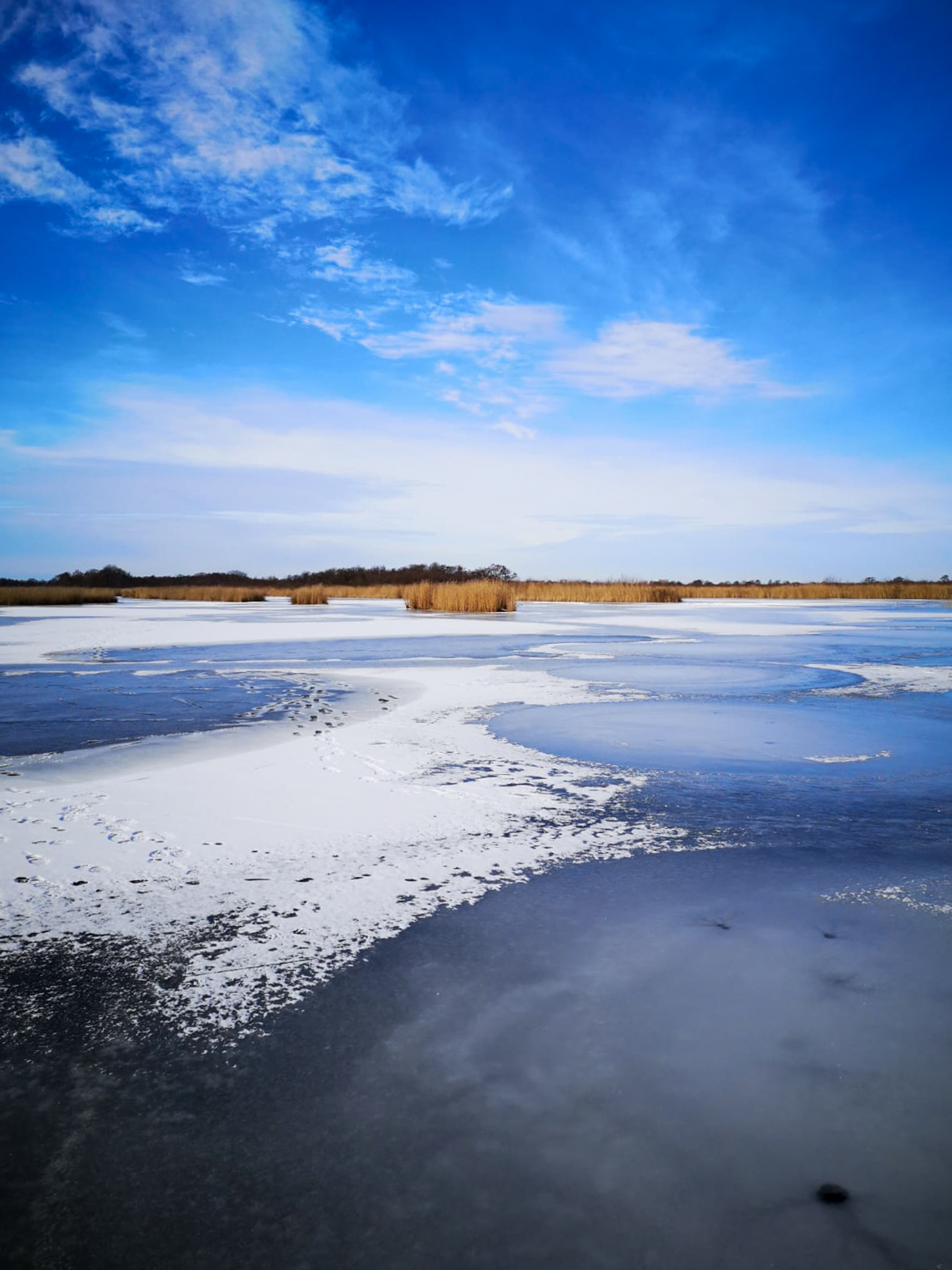 Ankeveense_Plassen_1--1613403414