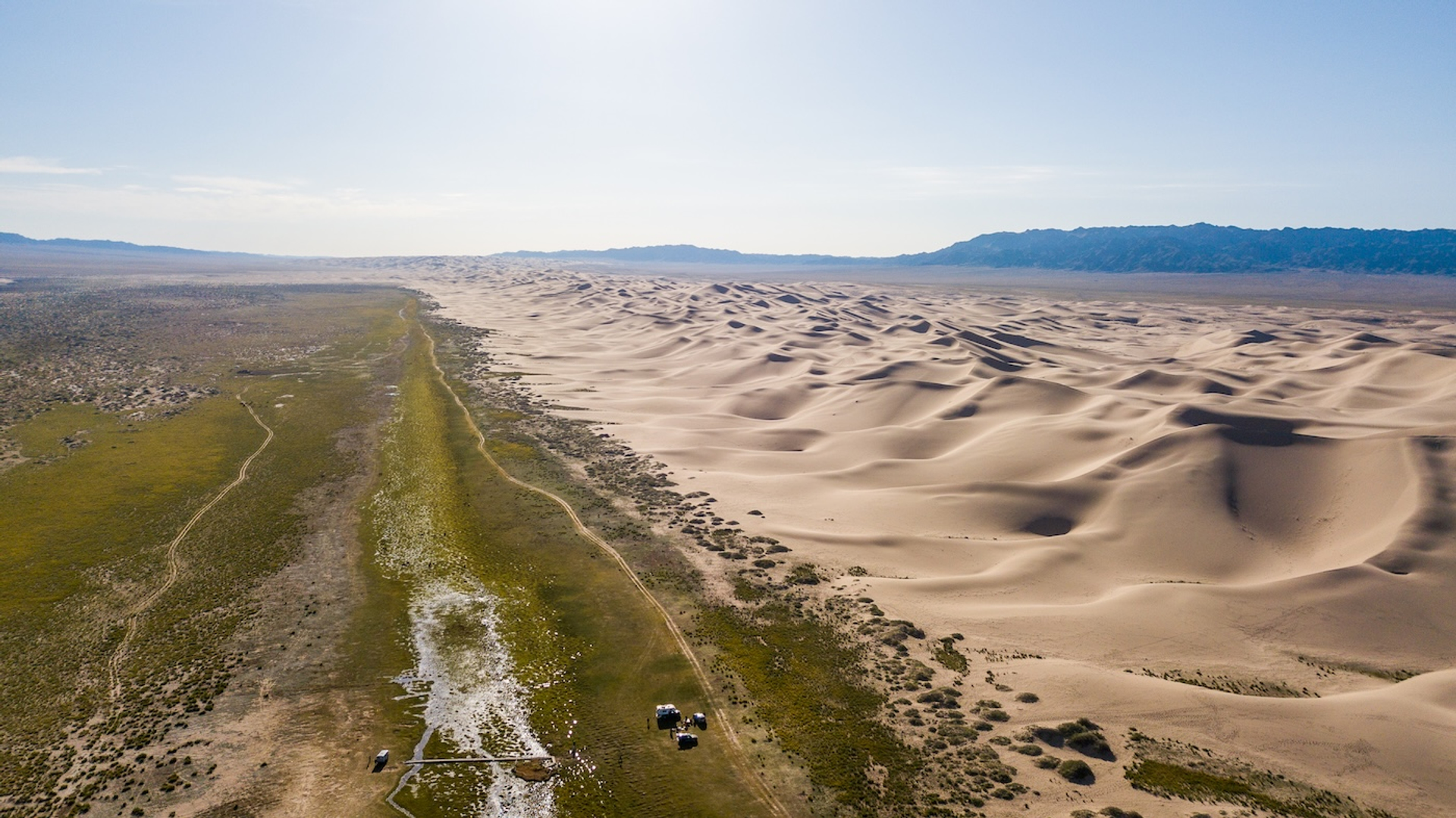 shutterstock_1212155278-1740666868