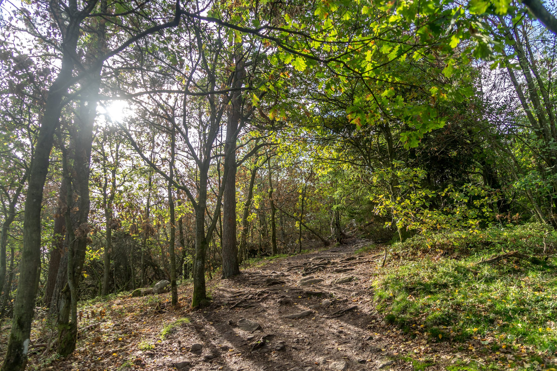 9b05774b-692a-4d48-9b6c-6701a0c5903b-1604945009-1629123067