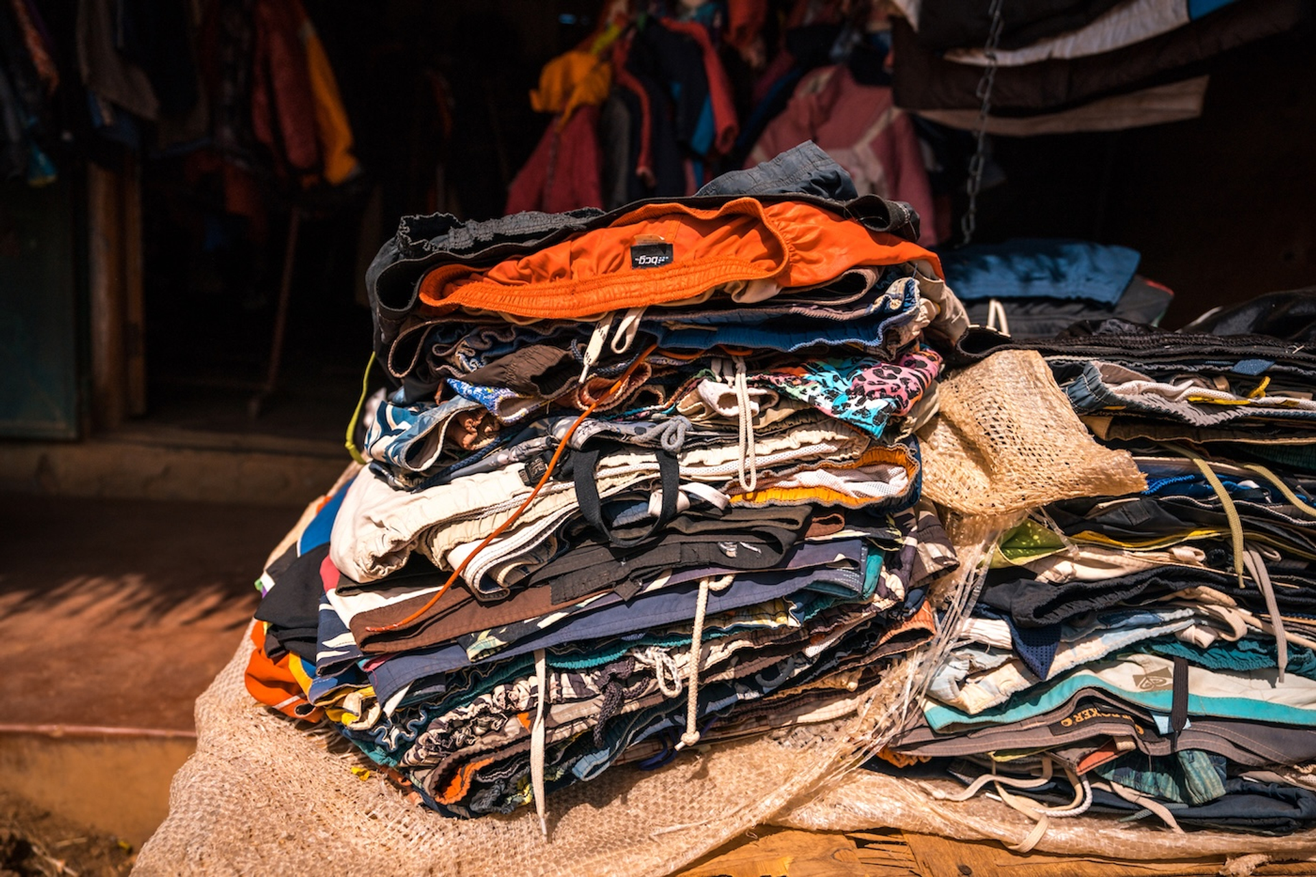 shutterstock_1205128636-1743686294